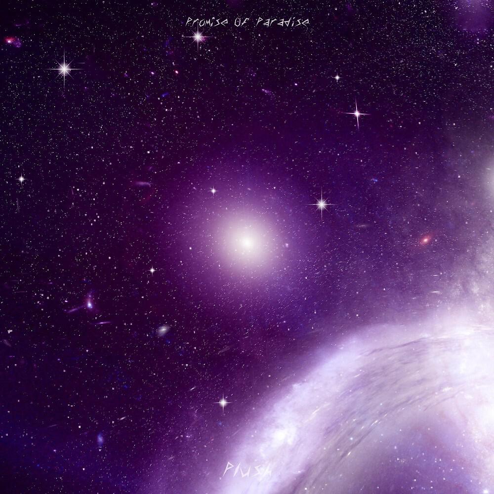 Promise Of Paradise - Noise Input