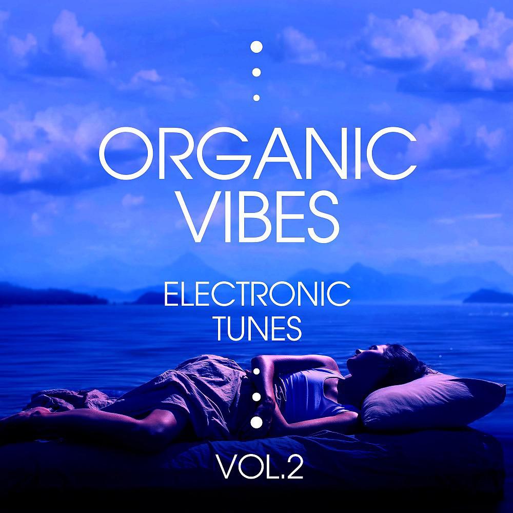 Постер альбома Organic Vibes (Electronic Tunes), Vol. 2