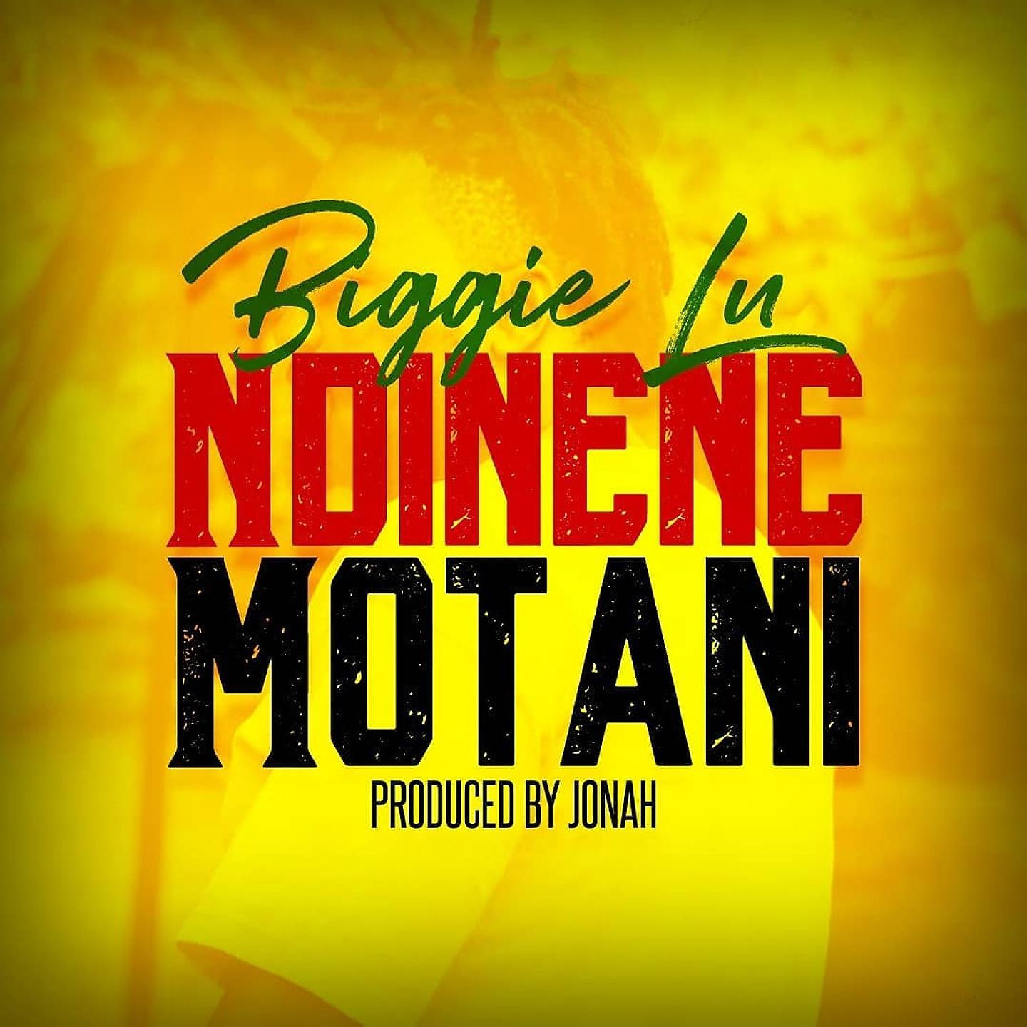 Постер альбома Ndinene Motani