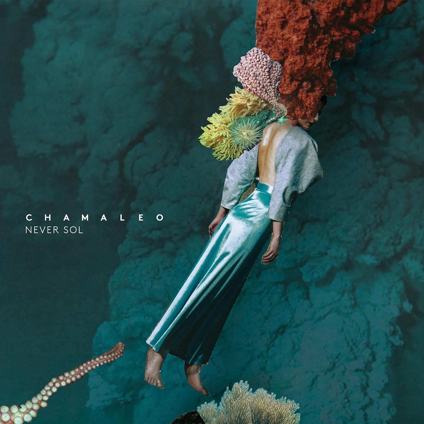 Постер альбома Chamaleo
