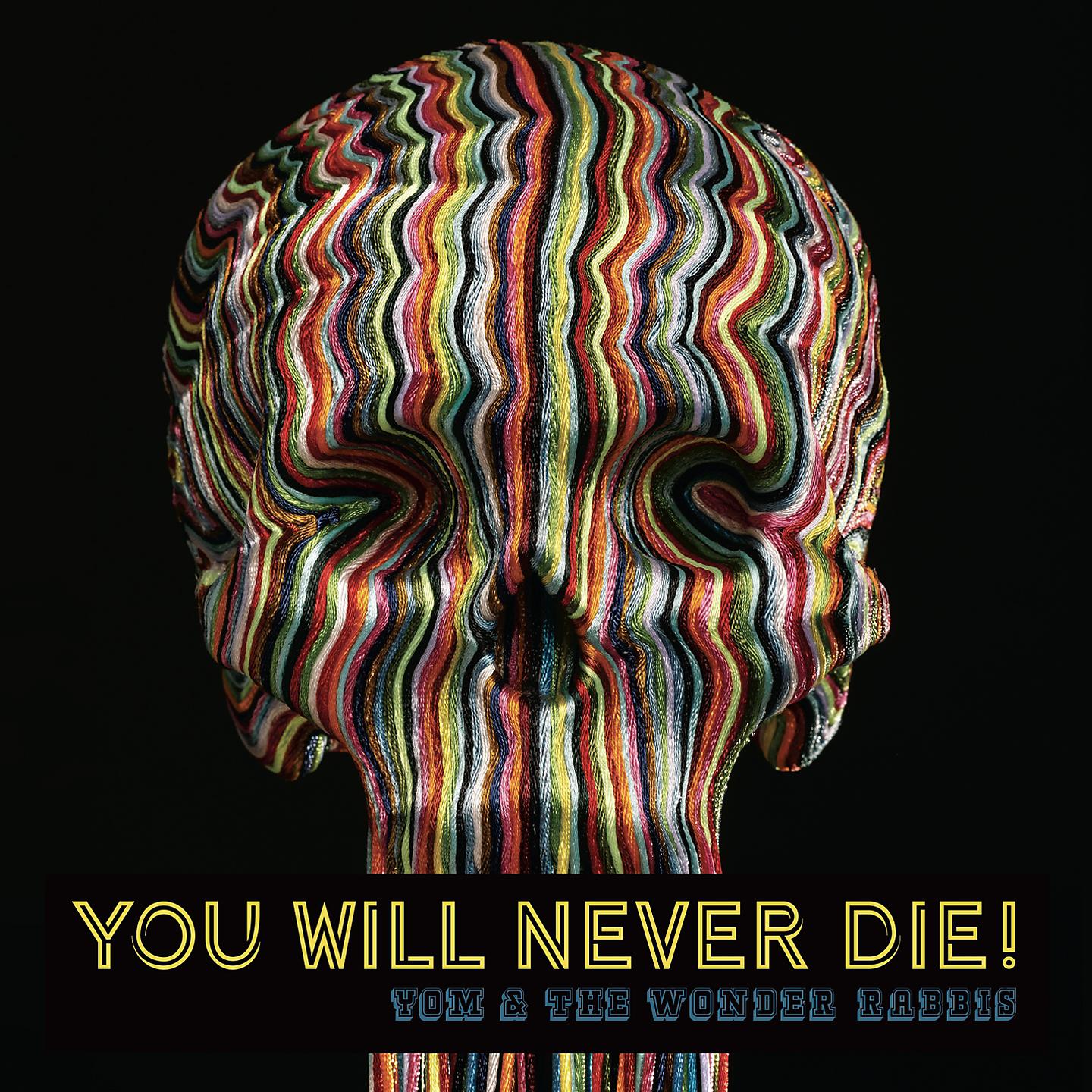 Постер альбома You Will Never Die!