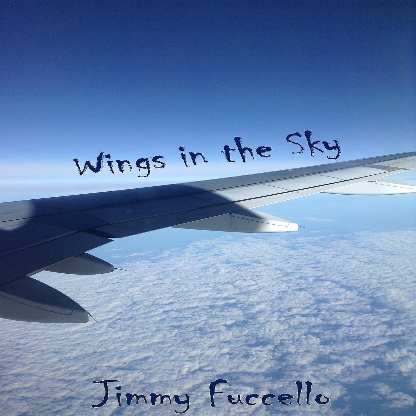 Постер альбома Wings in the Sky