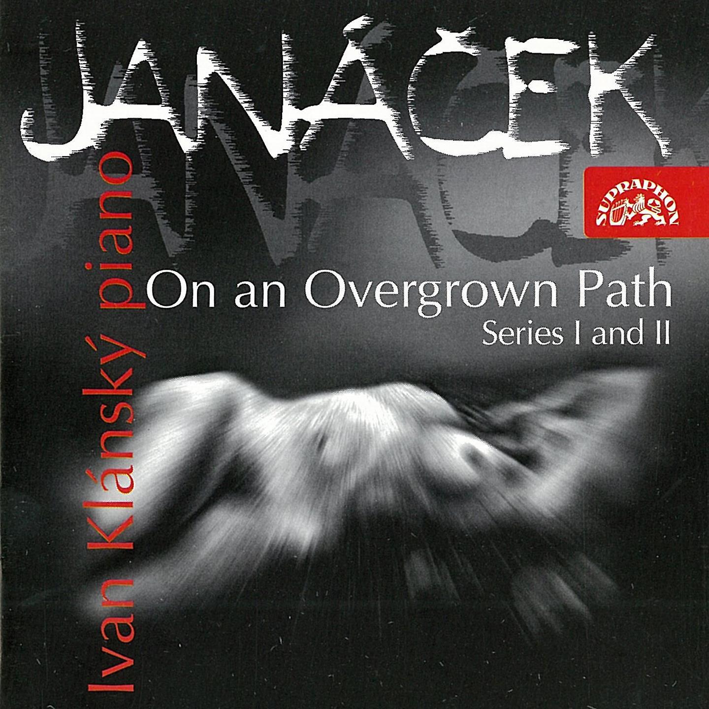 Постер альбома Janáček: On An Overgrown Path