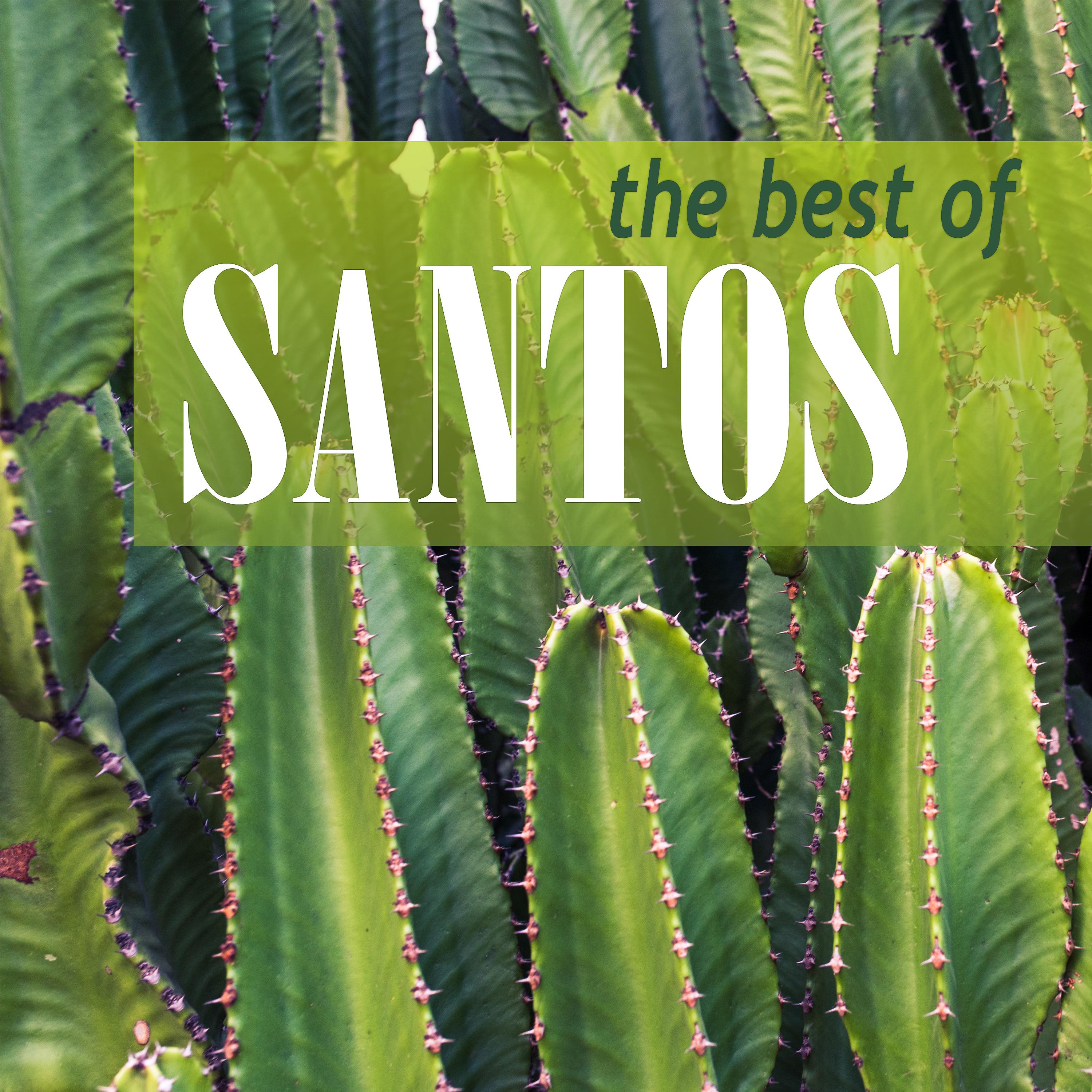 Постер альбома The Best of Santos