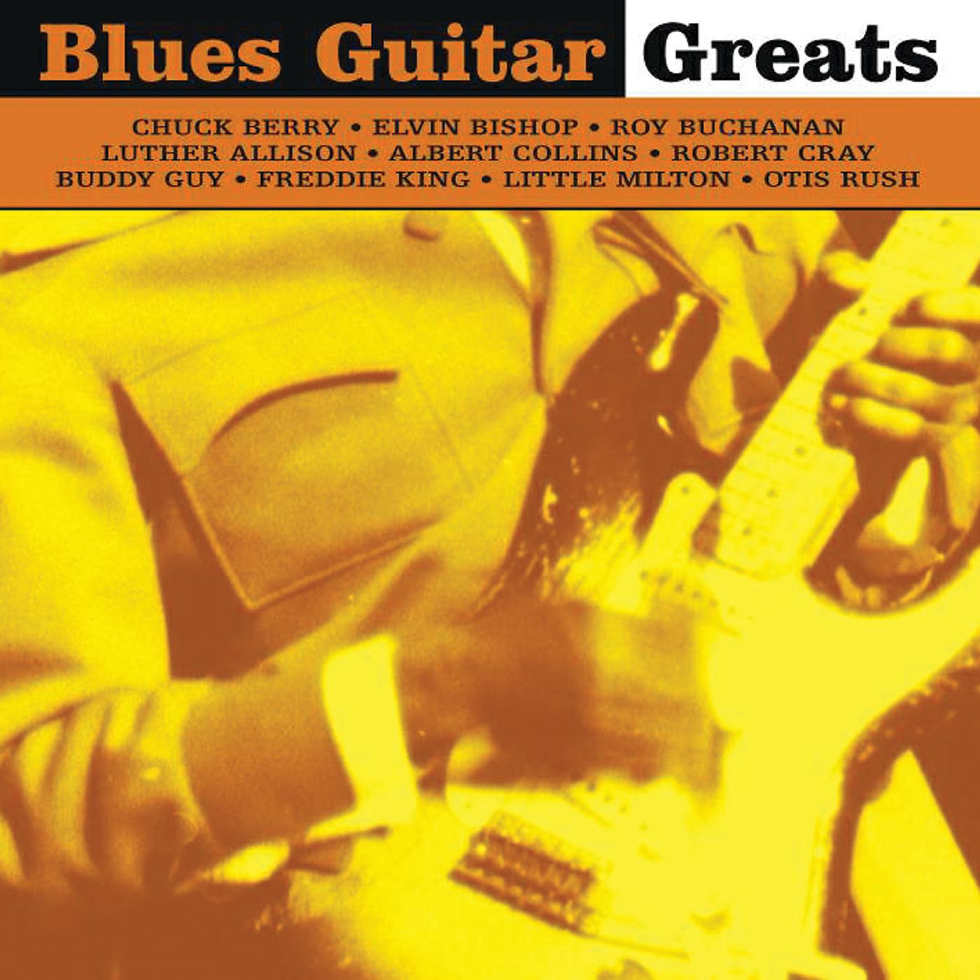Постер альбома Blues Guitar Greats