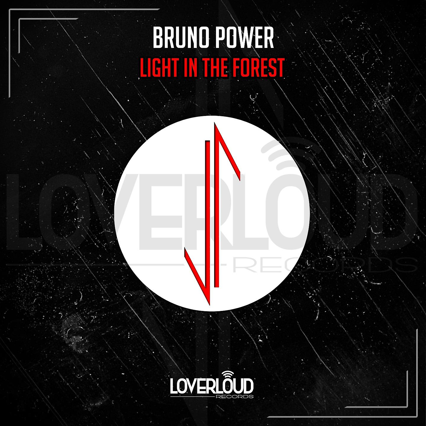 Постер альбома Light in the Forest