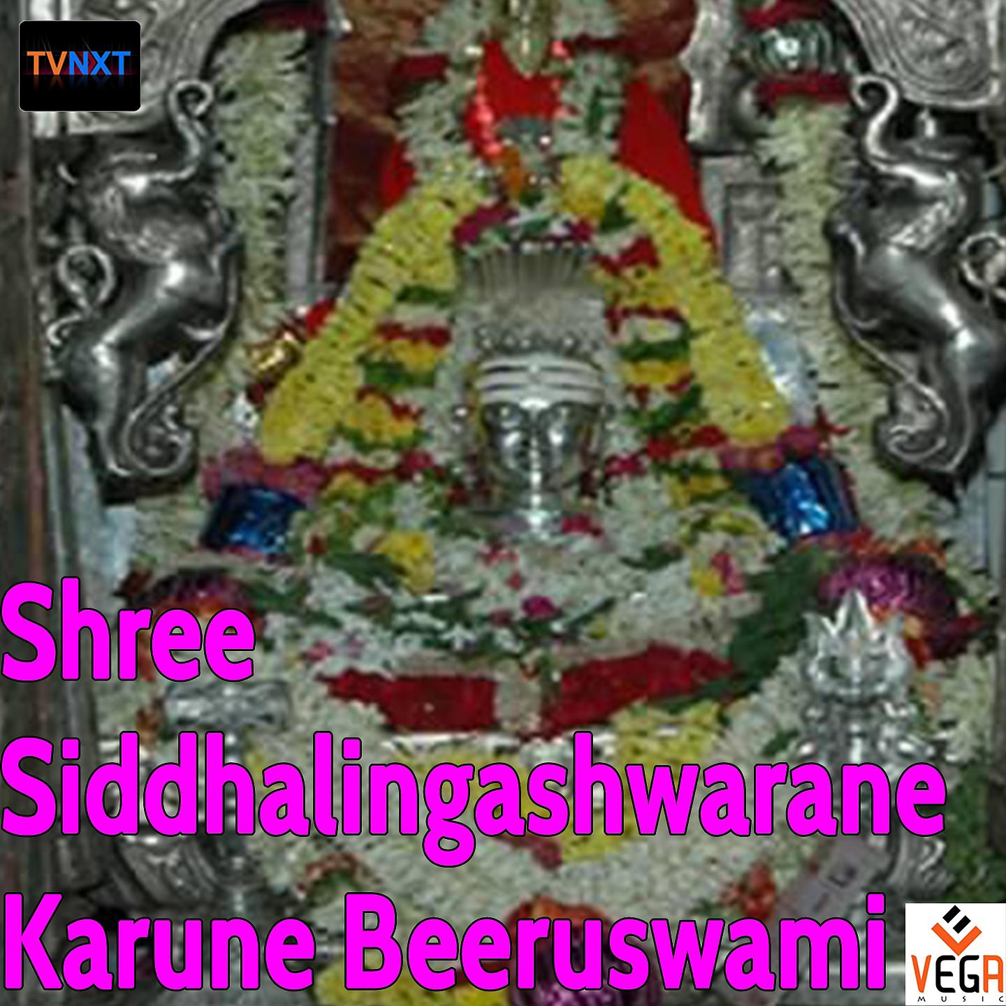 Постер альбома Shree Siddhalingashwarane Karune Beeruswami, Pt. 1