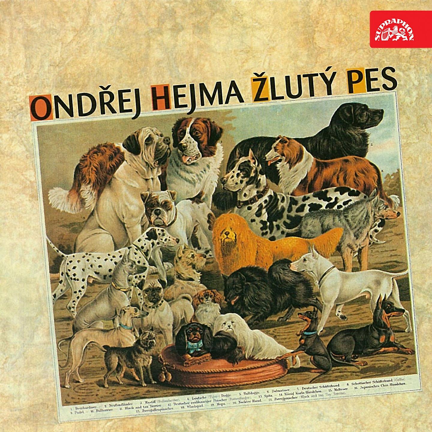 Žlutý pes - Velký Syn