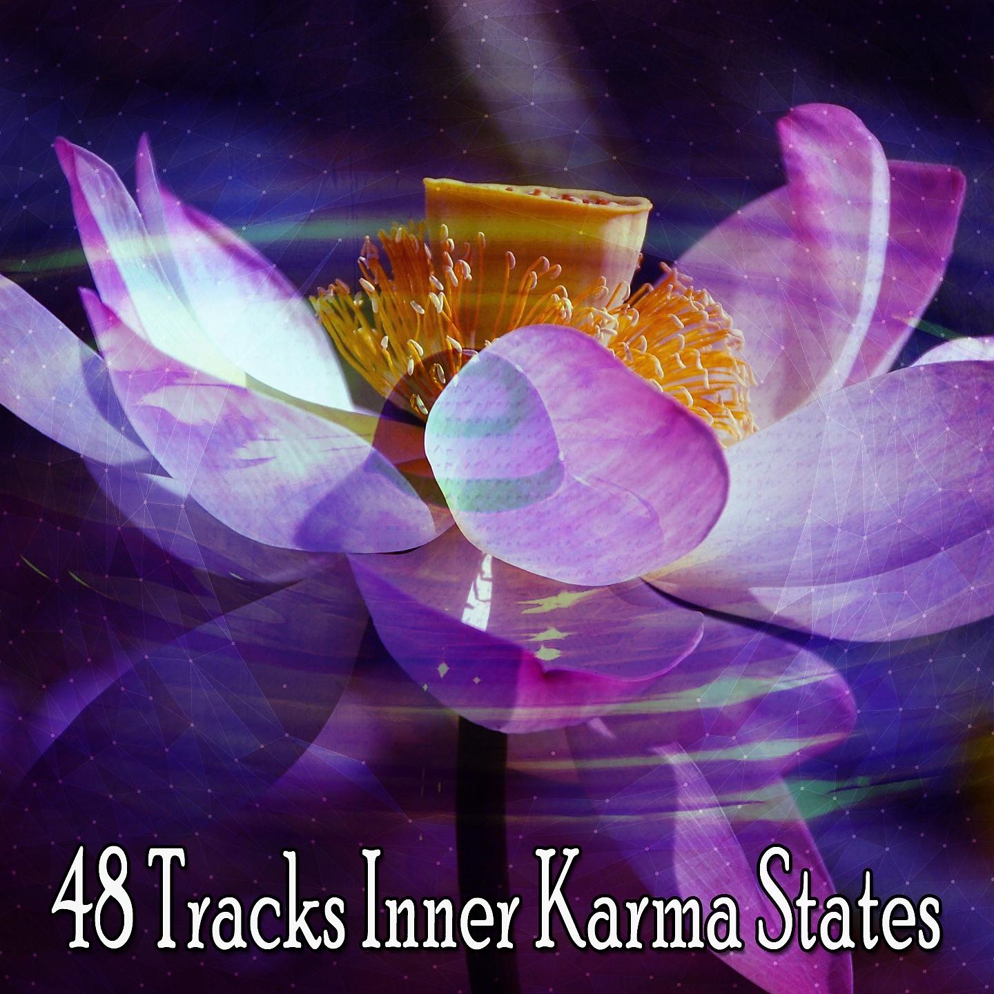 Постер альбома 48 Tracks Inner Karma States