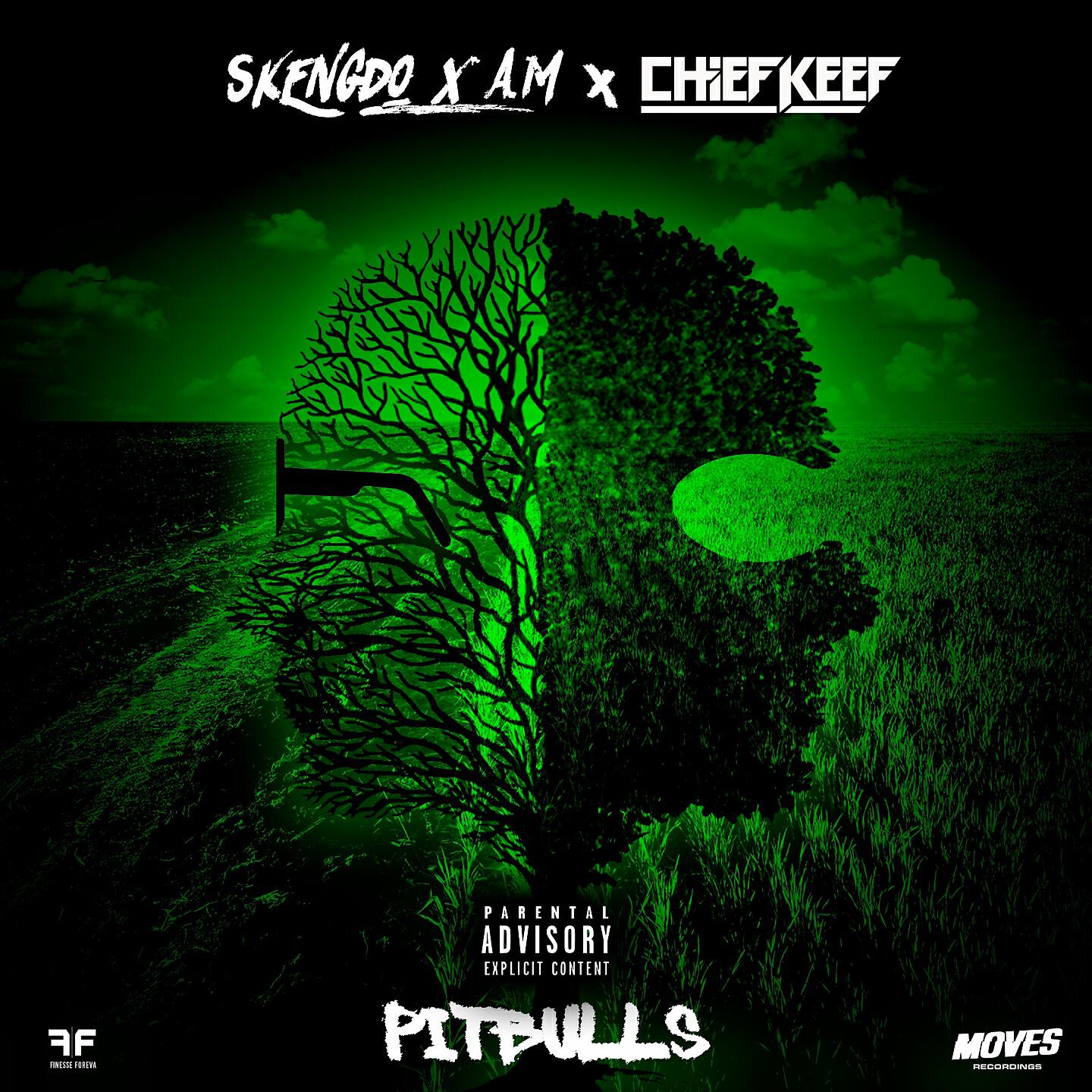 Skengdo - Pitbulls