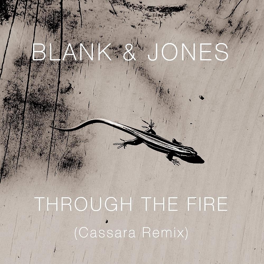 Постер альбома Through the Fire (Cassara Remixes)
