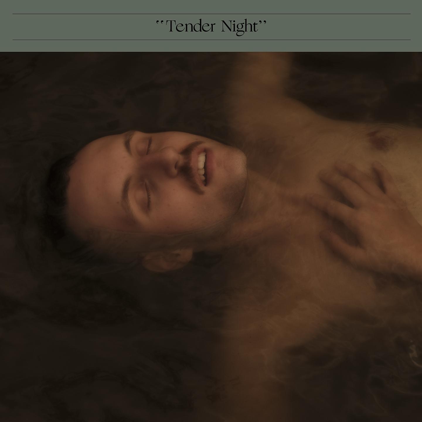 Постер альбома Tender Night