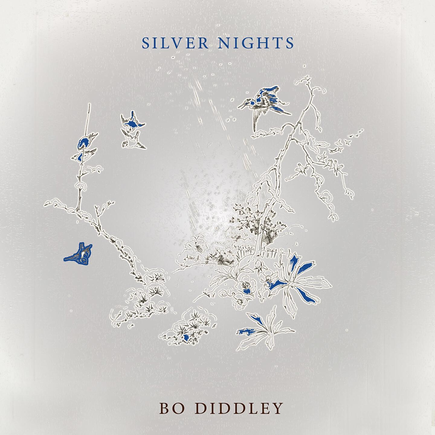 Bo Diddley - Diddley Daddy