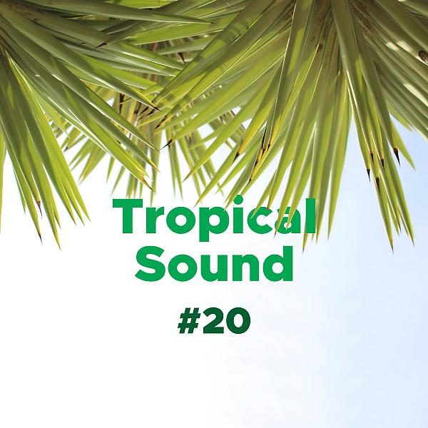 Постер альбома Tropical Sound #20 - 1 Hour of Relaxing, Ethereal Music for Sleeping