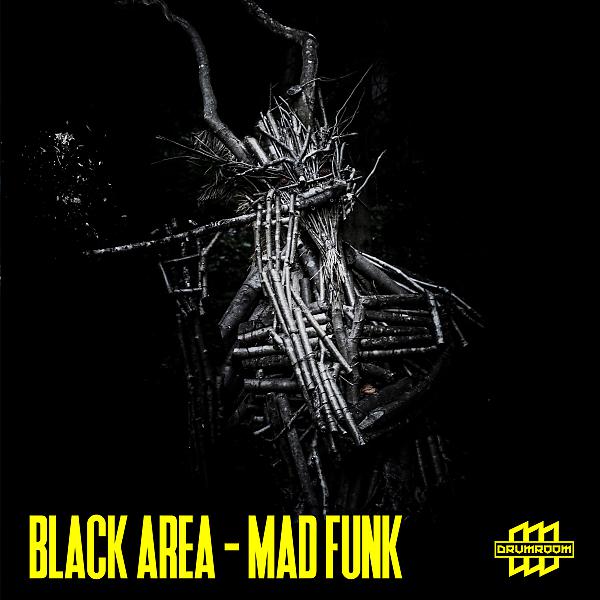 Постер альбома Mad Funk