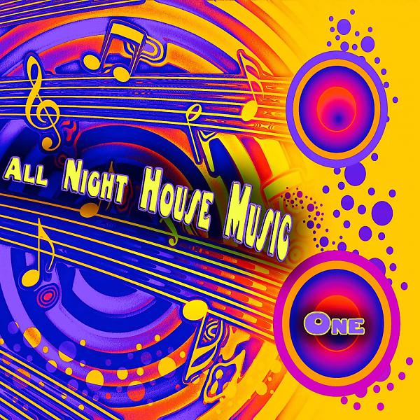 Постер альбома All Night House Music,One (House Selected Flavours)