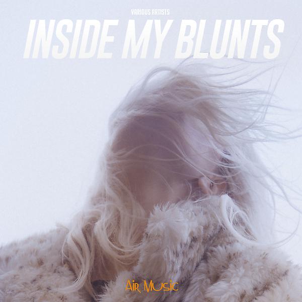 Постер альбома Inside My Blunts