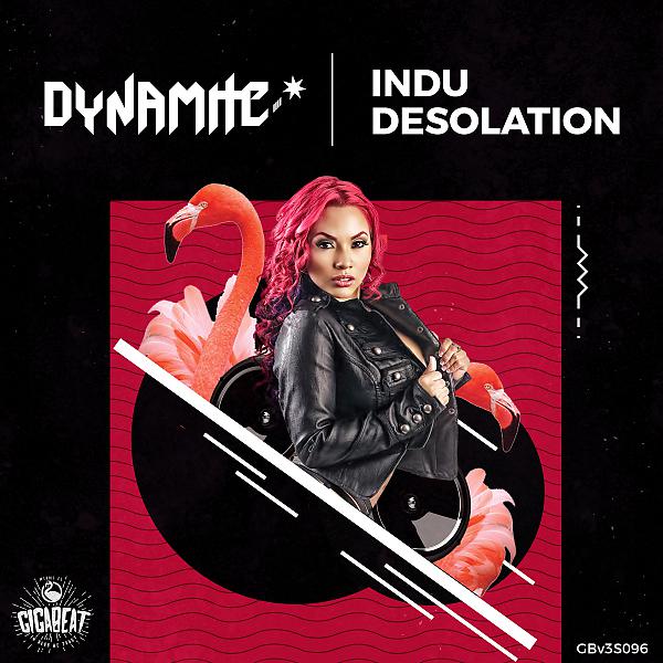 Постер альбома Indu Desolation