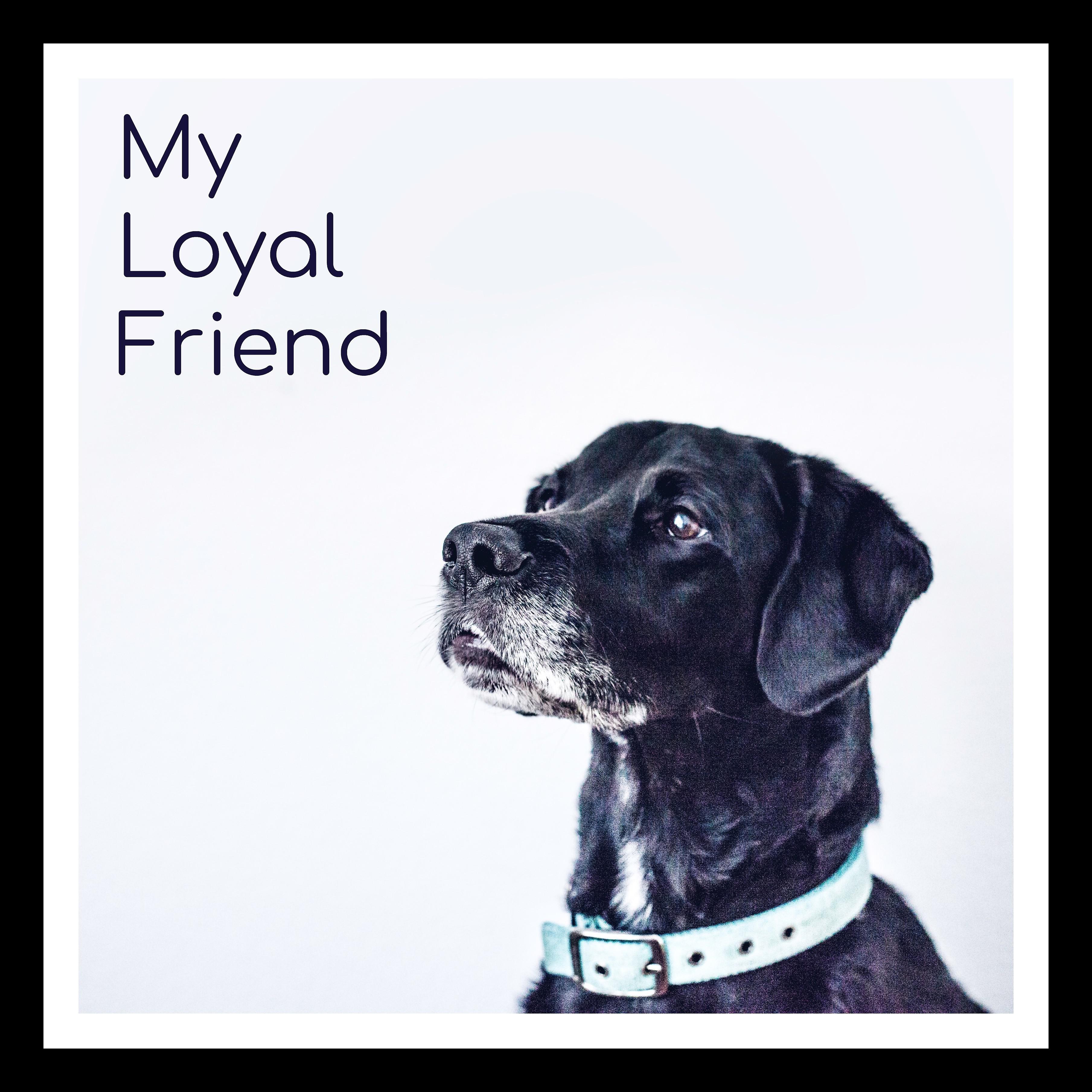 Постер альбома My Loyal Friend