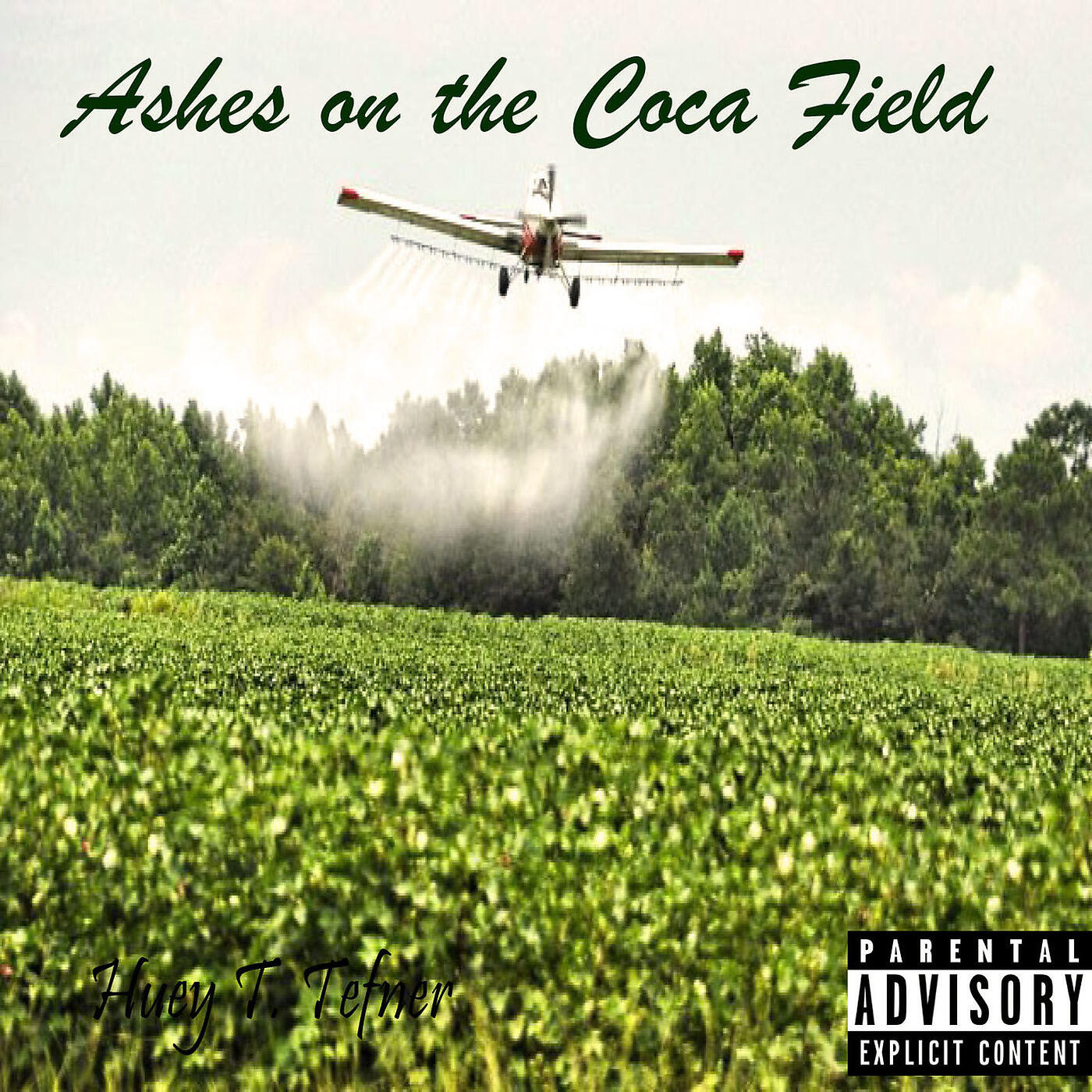 Huey T. Tefner - Ashes on the Coca Field