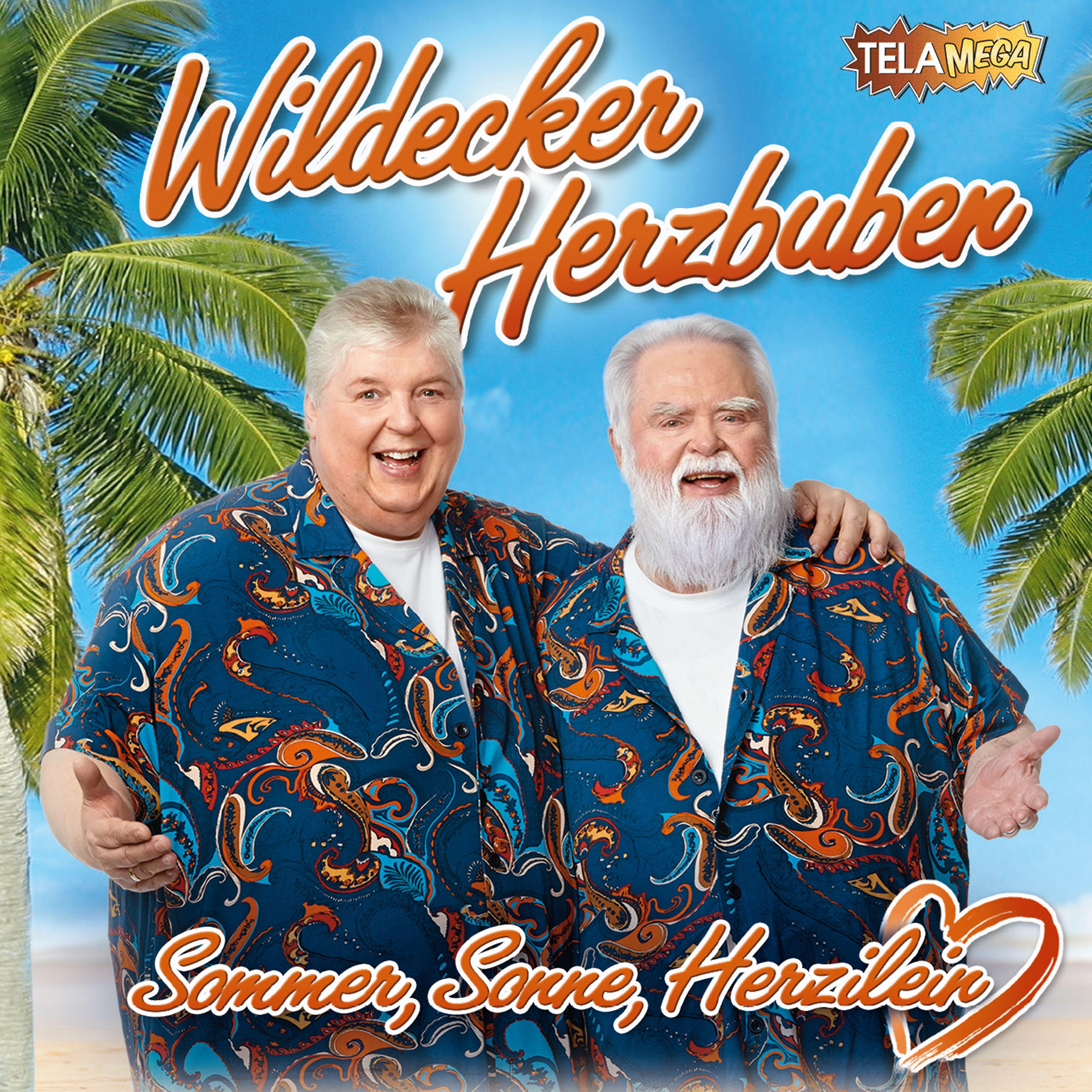 Постер альбома Sommer, Sonne, Herzilein