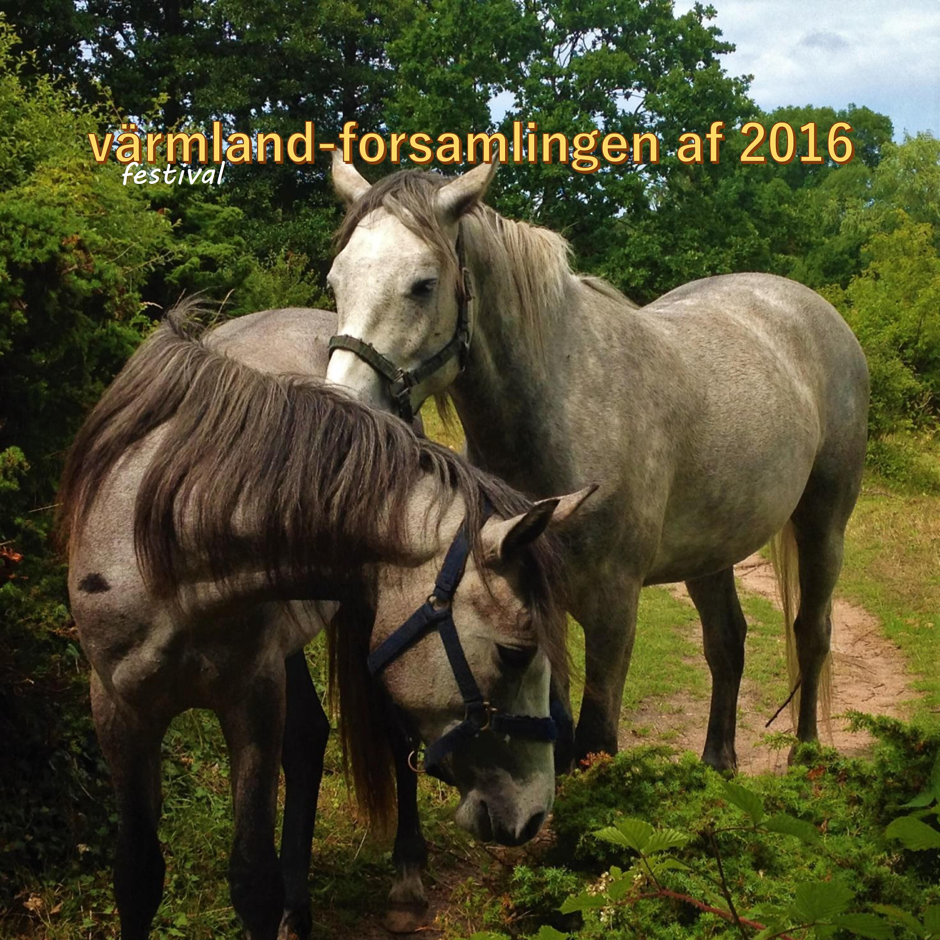 Värmland-forsamlingen af 2016 - Cautious/Gentle