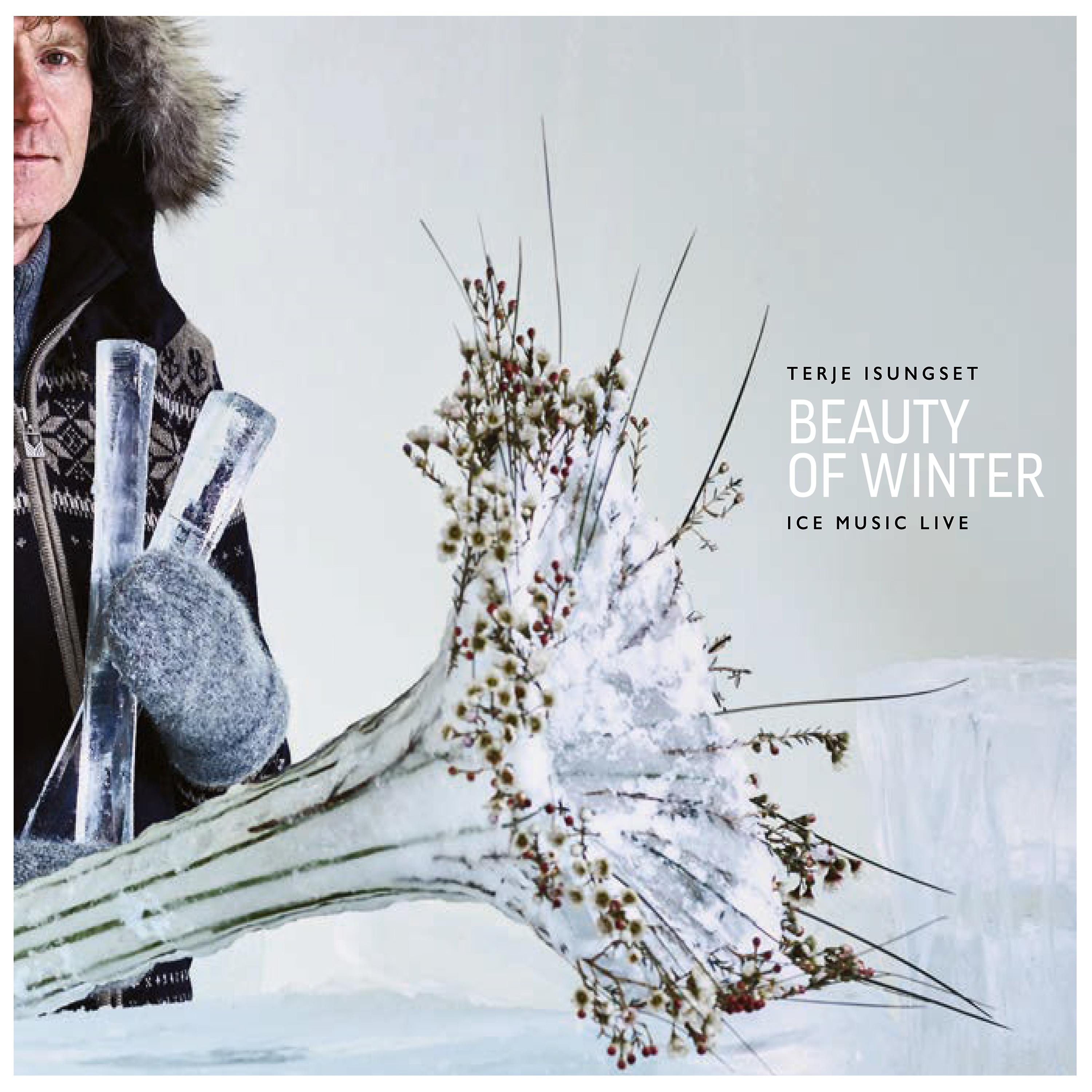 Постер альбома Beauty of Winter - Ice Music Live