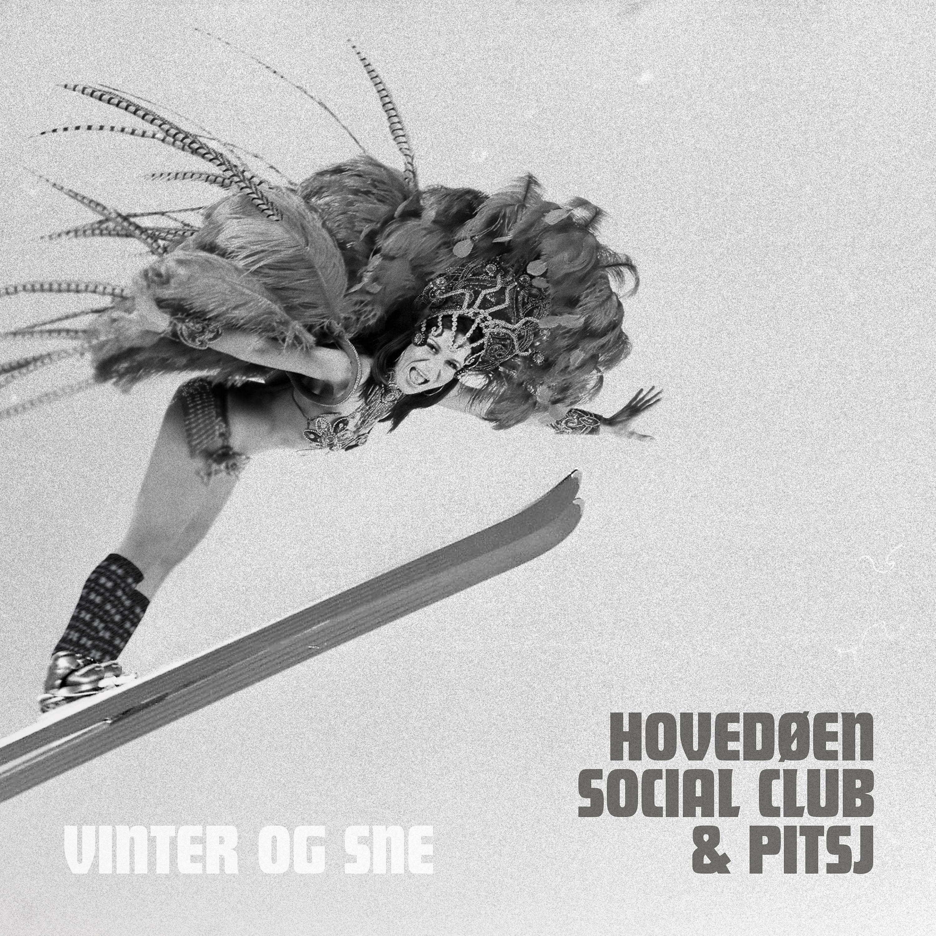 Постер альбома Vinter og sne