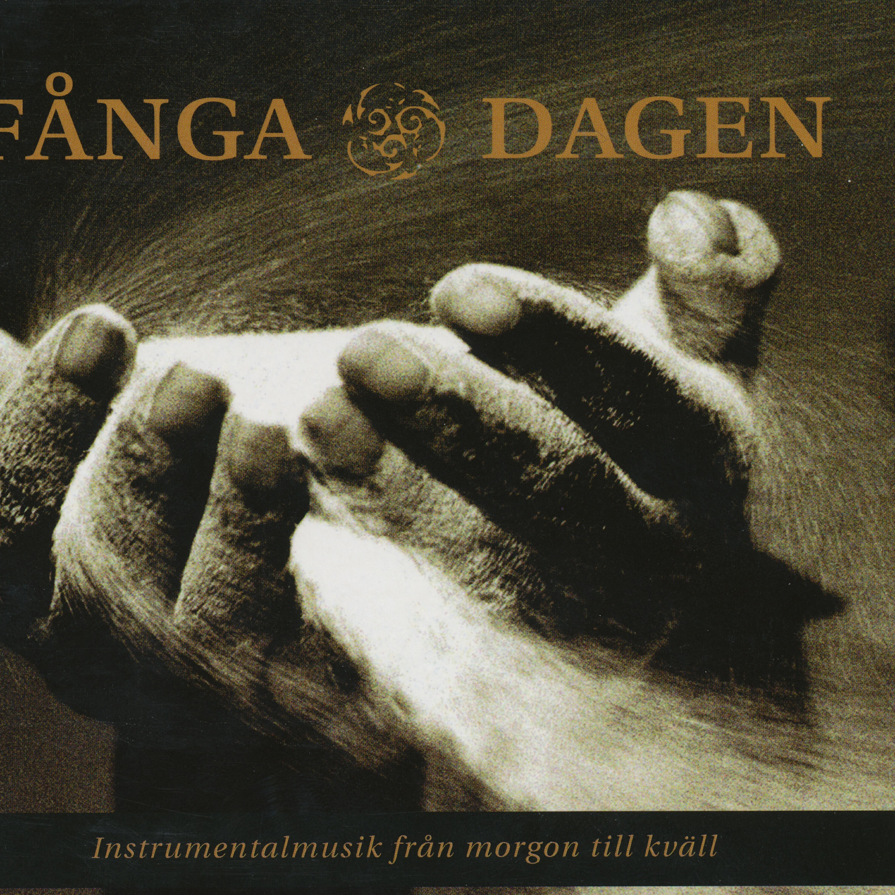 VARIOUS ARTISTS - Hans namn