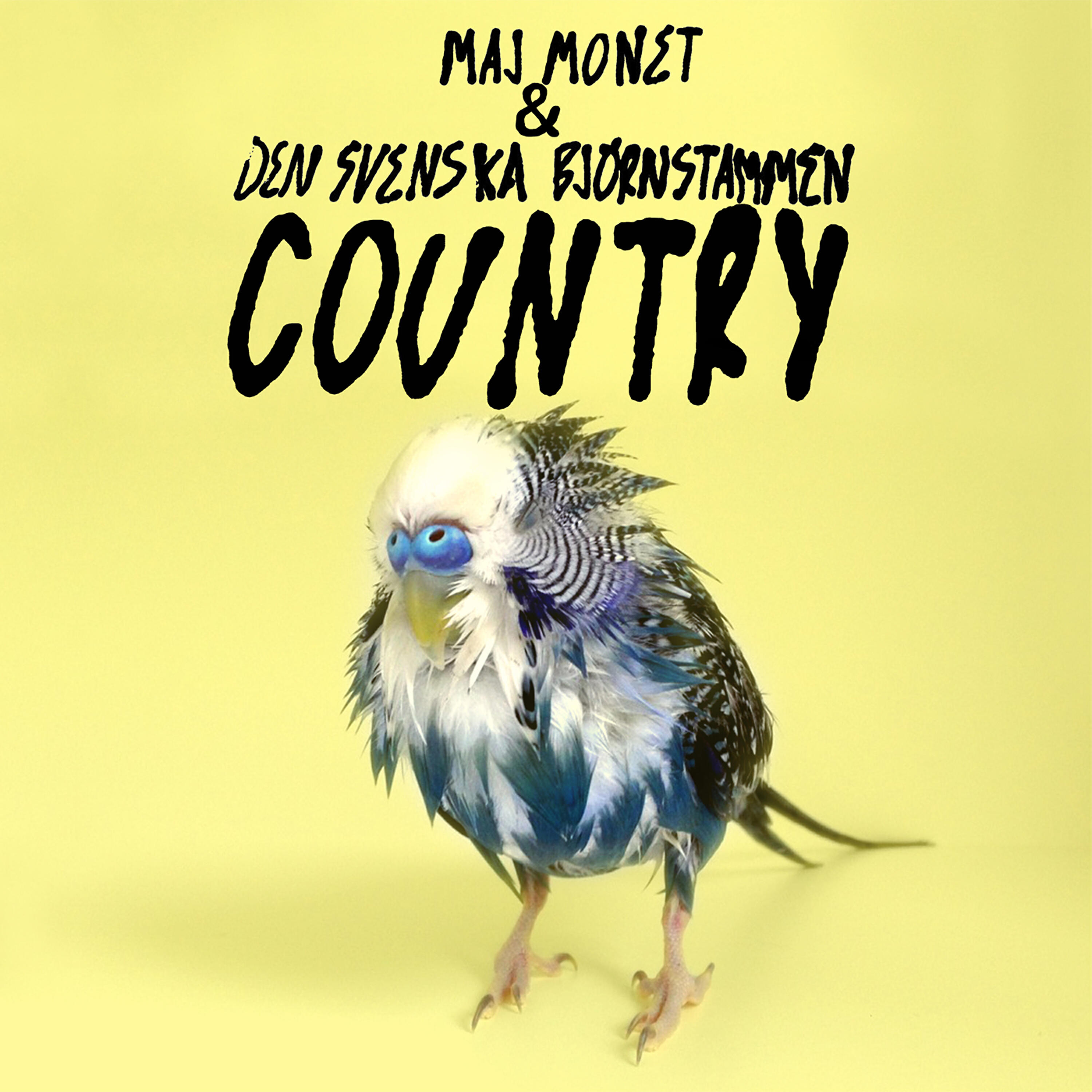 Den Svenska Björnstammen - Country