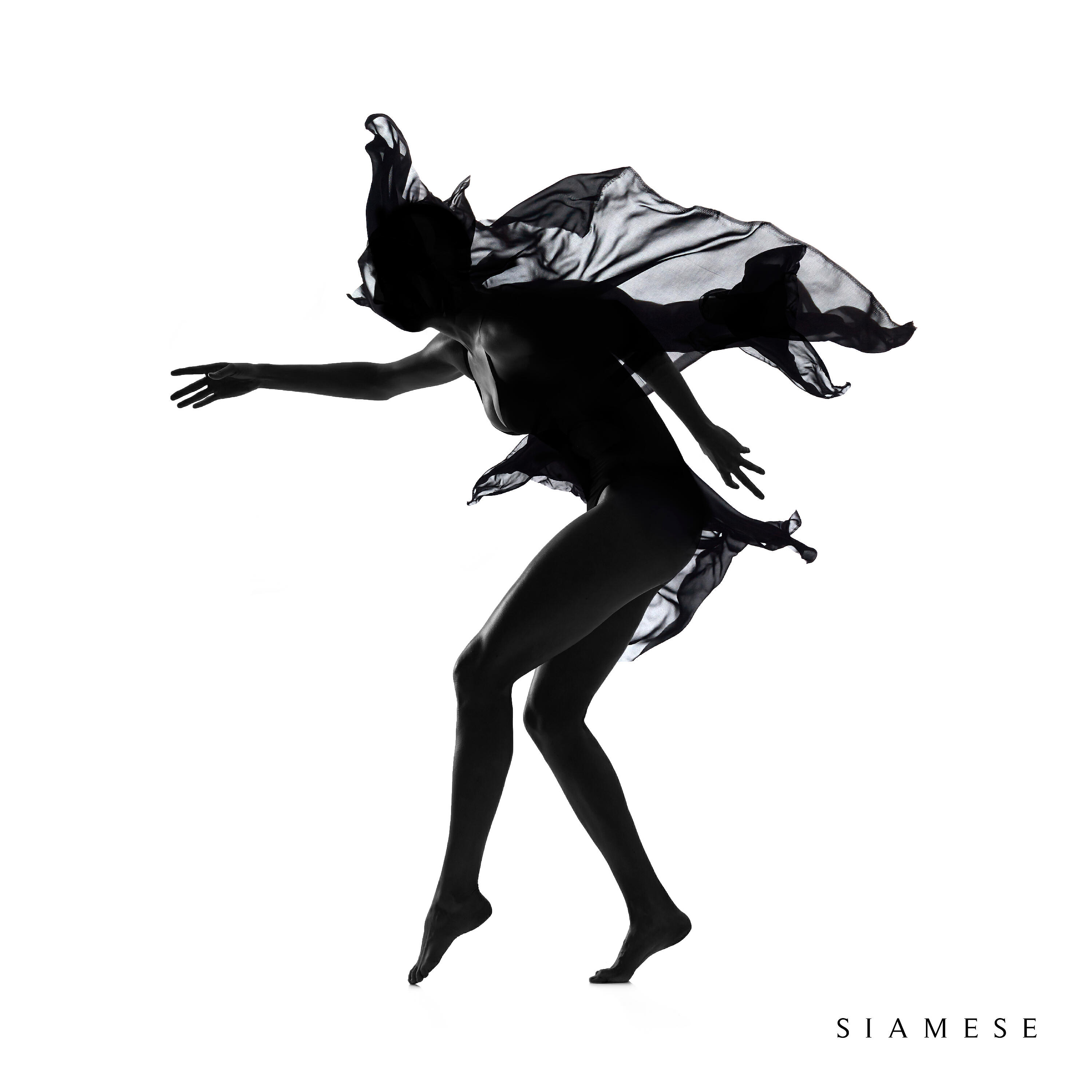 Siamese - Ordinary