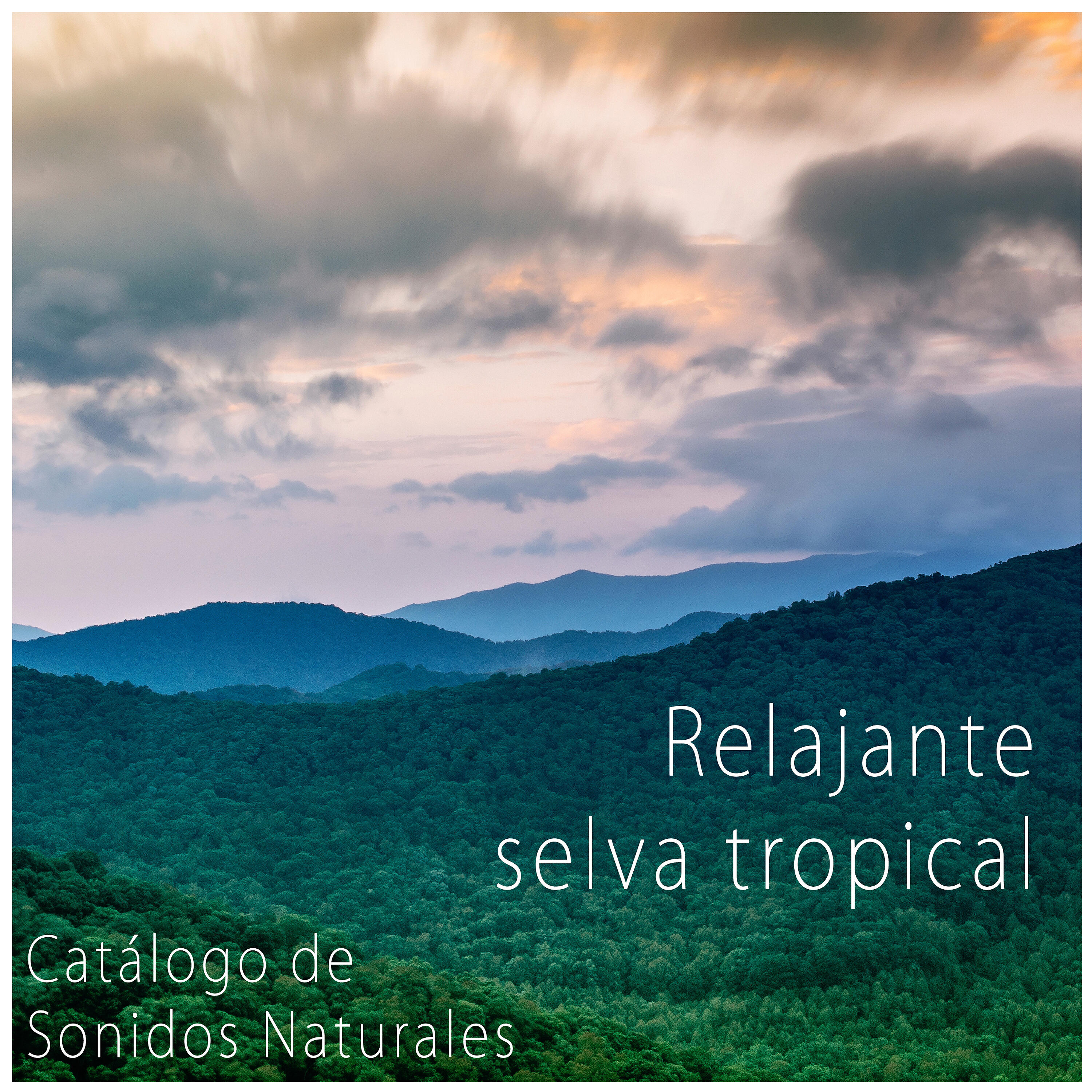 Catálogo de Sonidos Naturales - Saltamontes Del Sonido