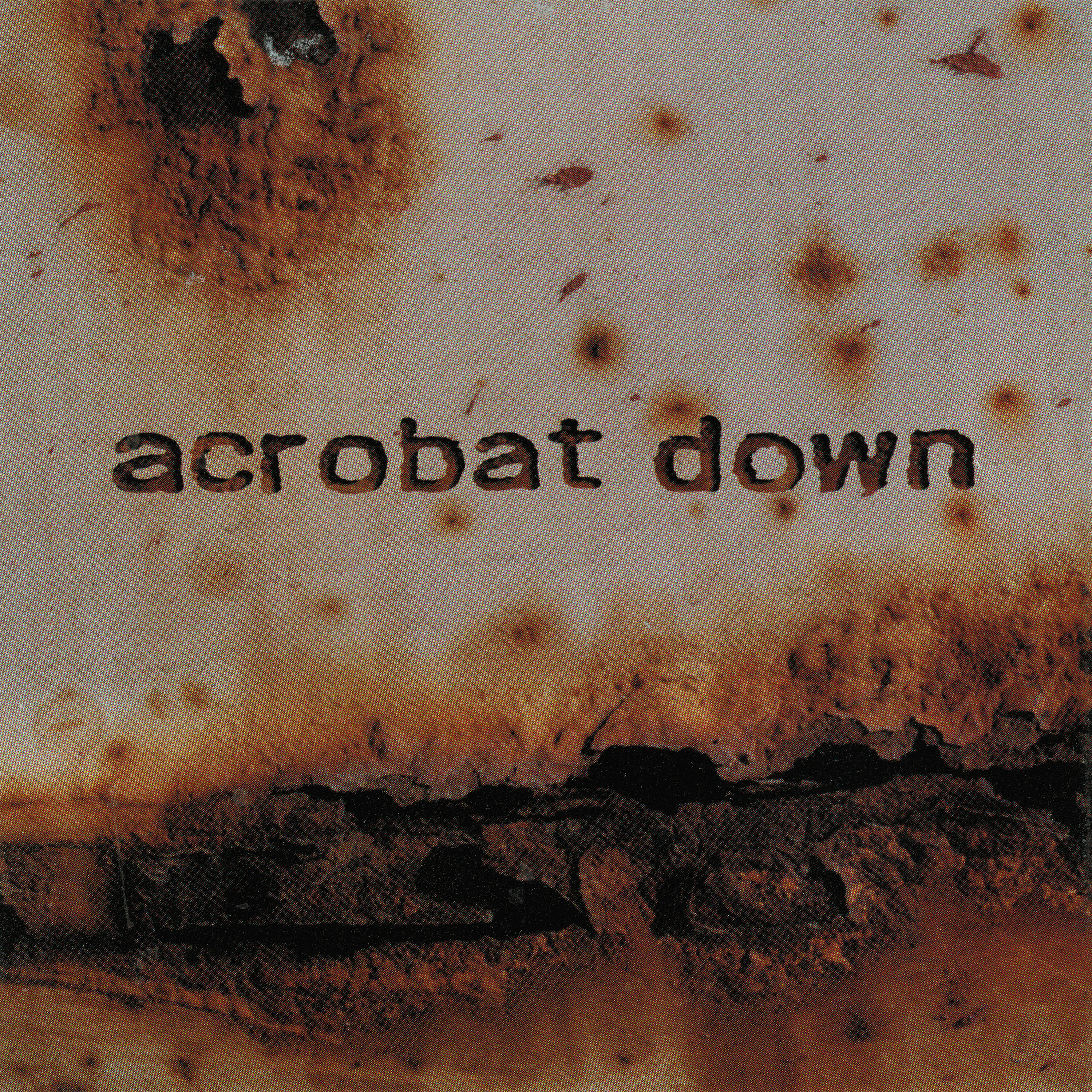 Acrobat Down - X-Wise Children