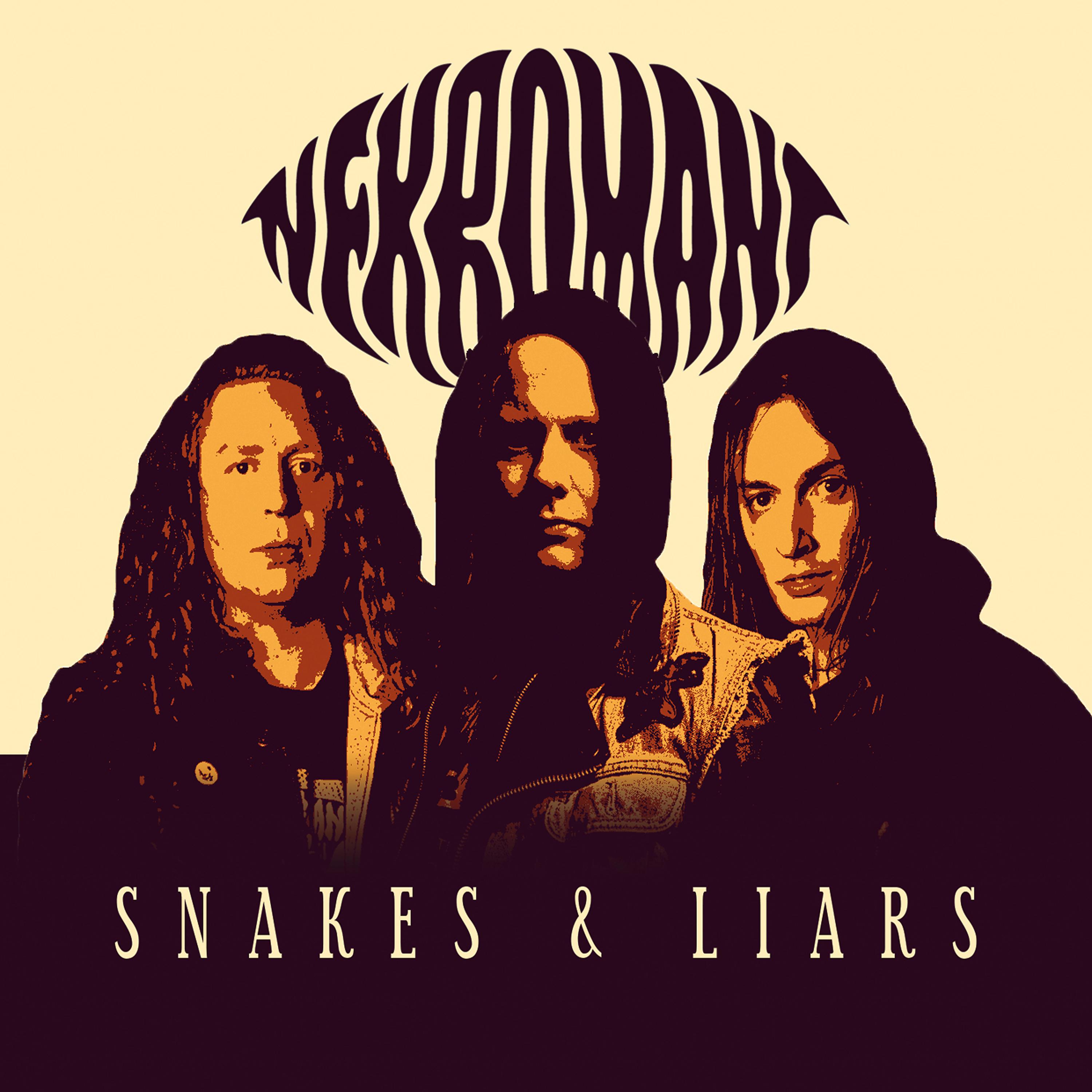 Постер альбома Snakes & Liars