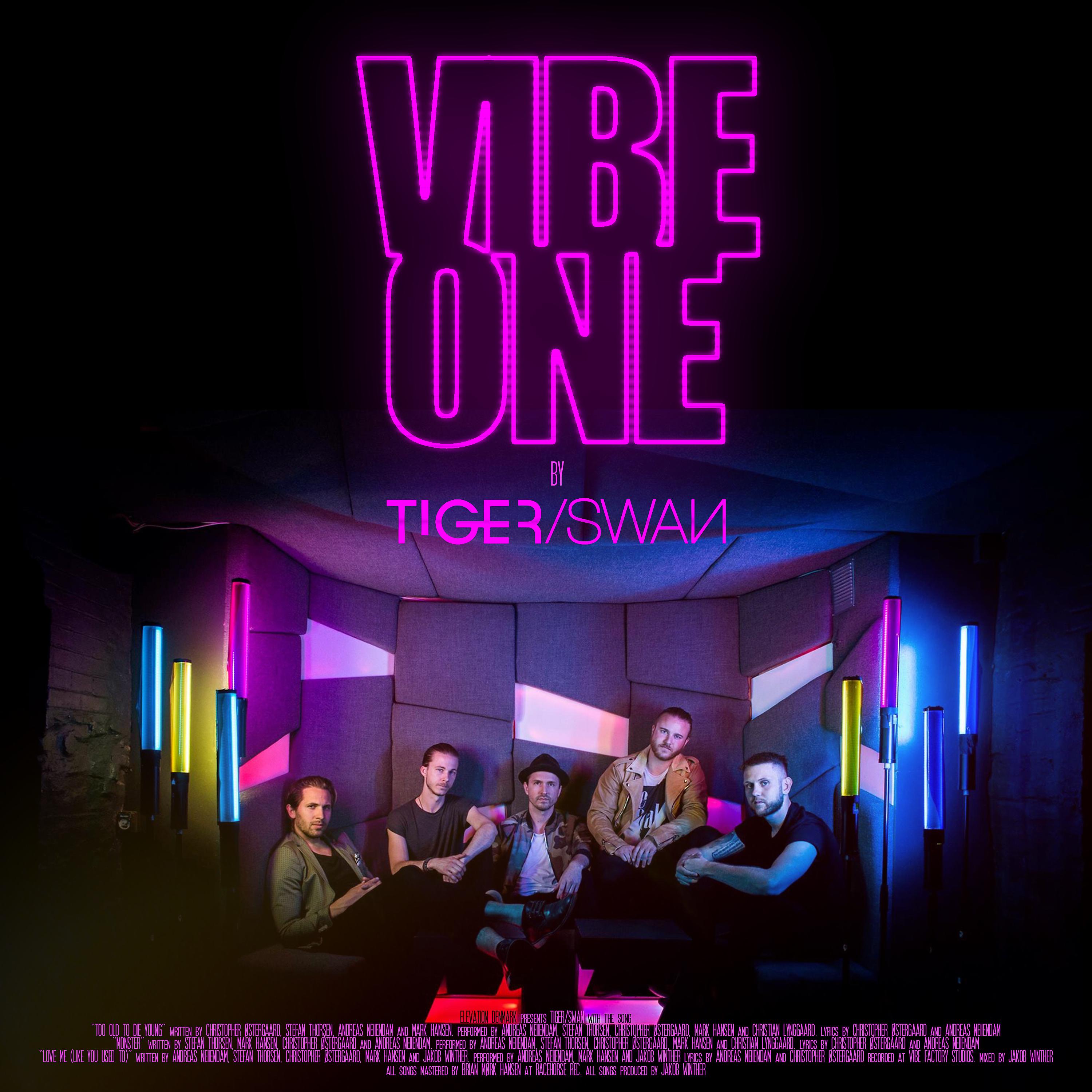 Постер альбома Vibe One