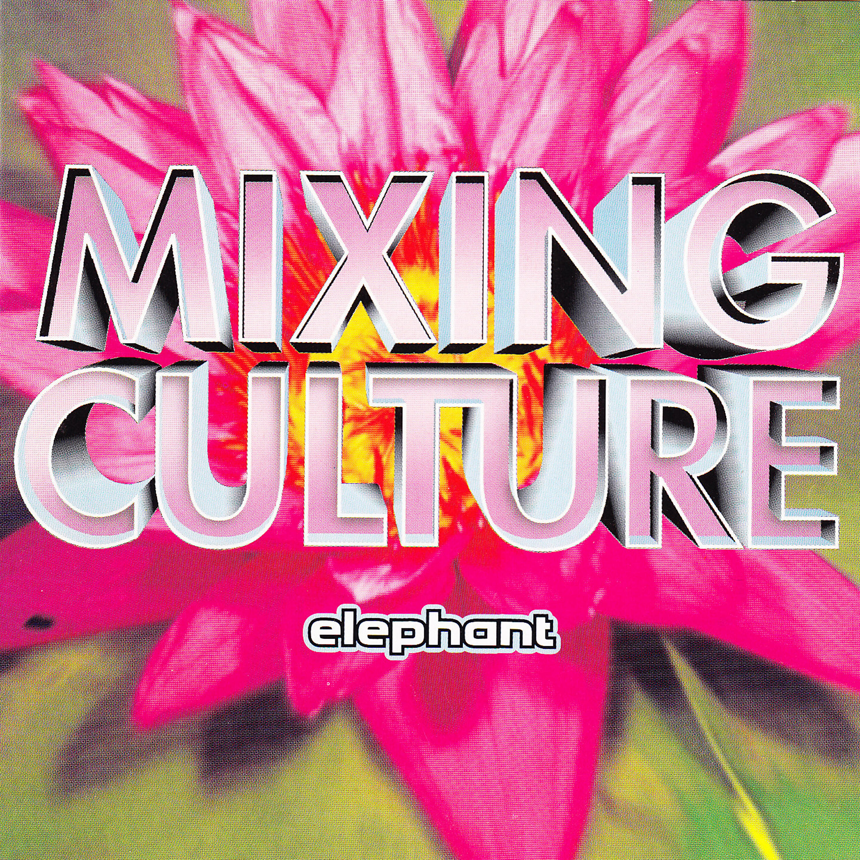 ElephAnT - Mixing Culture (Live at Nefertiti)