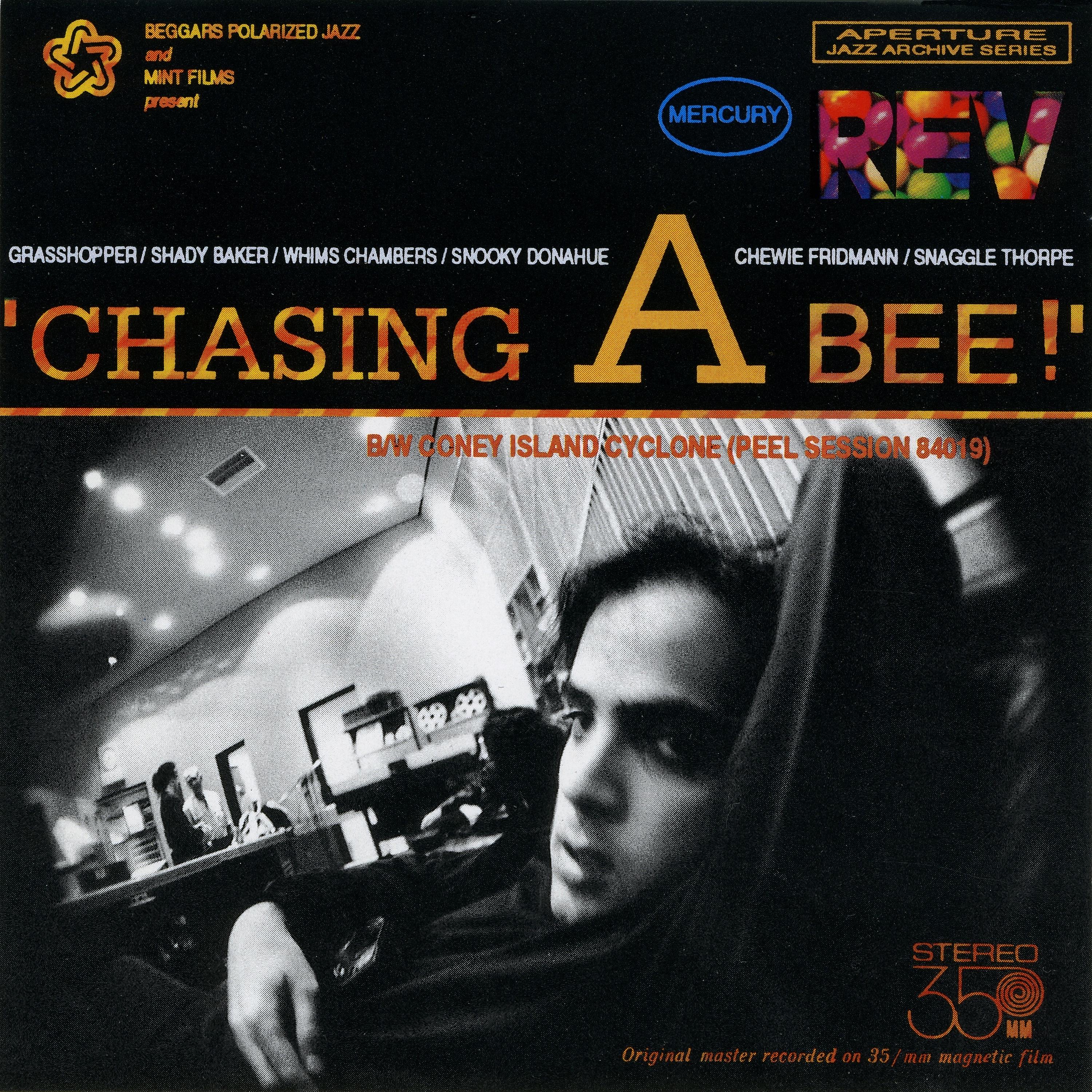 Постер альбома Chasing a Bee