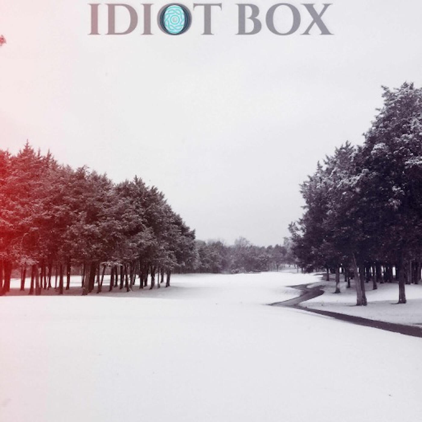 Idiot Box - Through the Mouths of Liars
