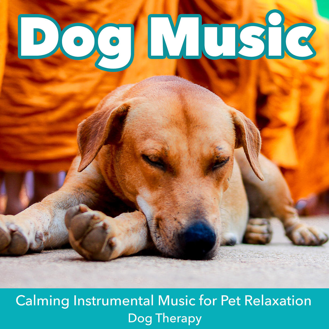 Dog Music Dreams - Crate Training Music