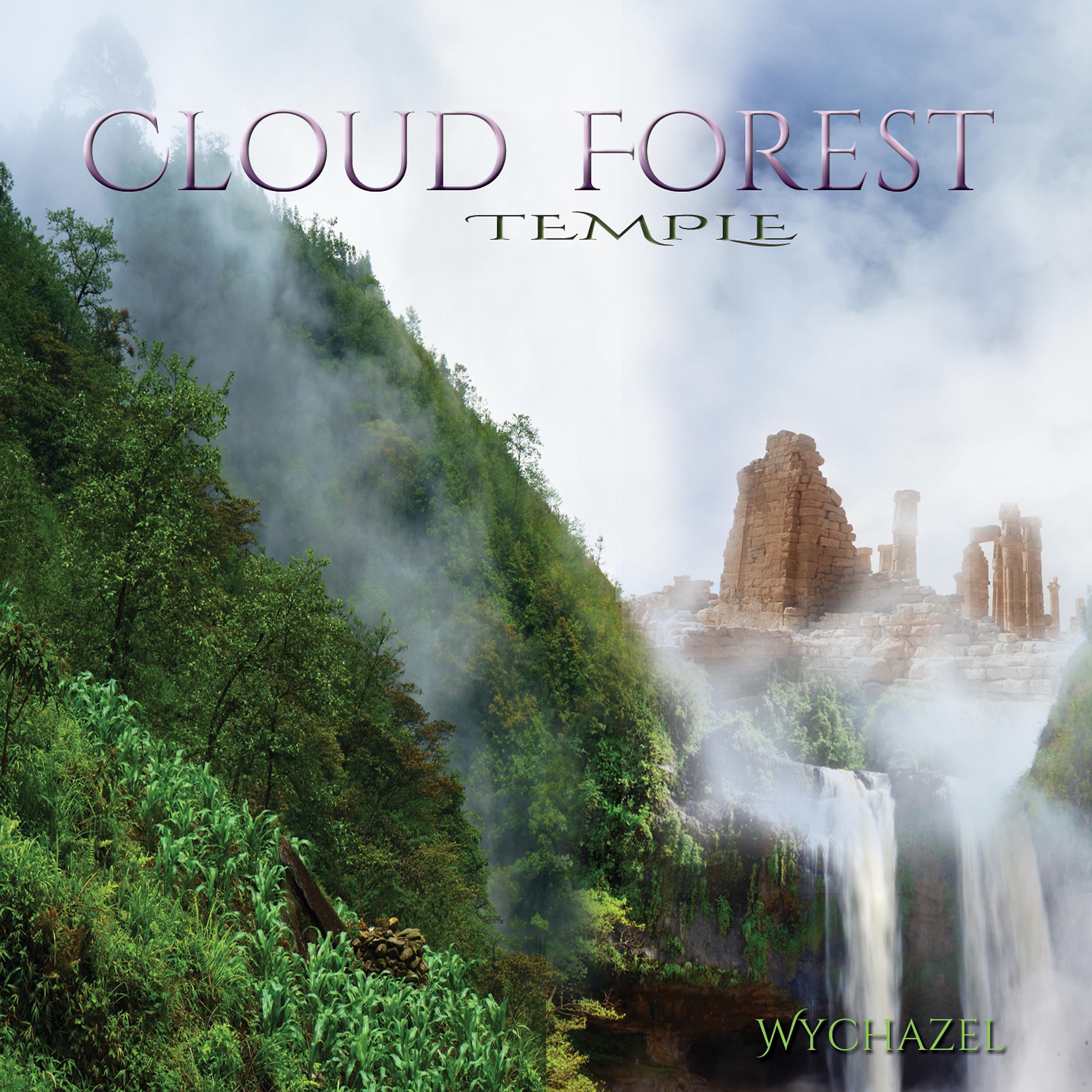 Постер альбома Cloudforest Temple