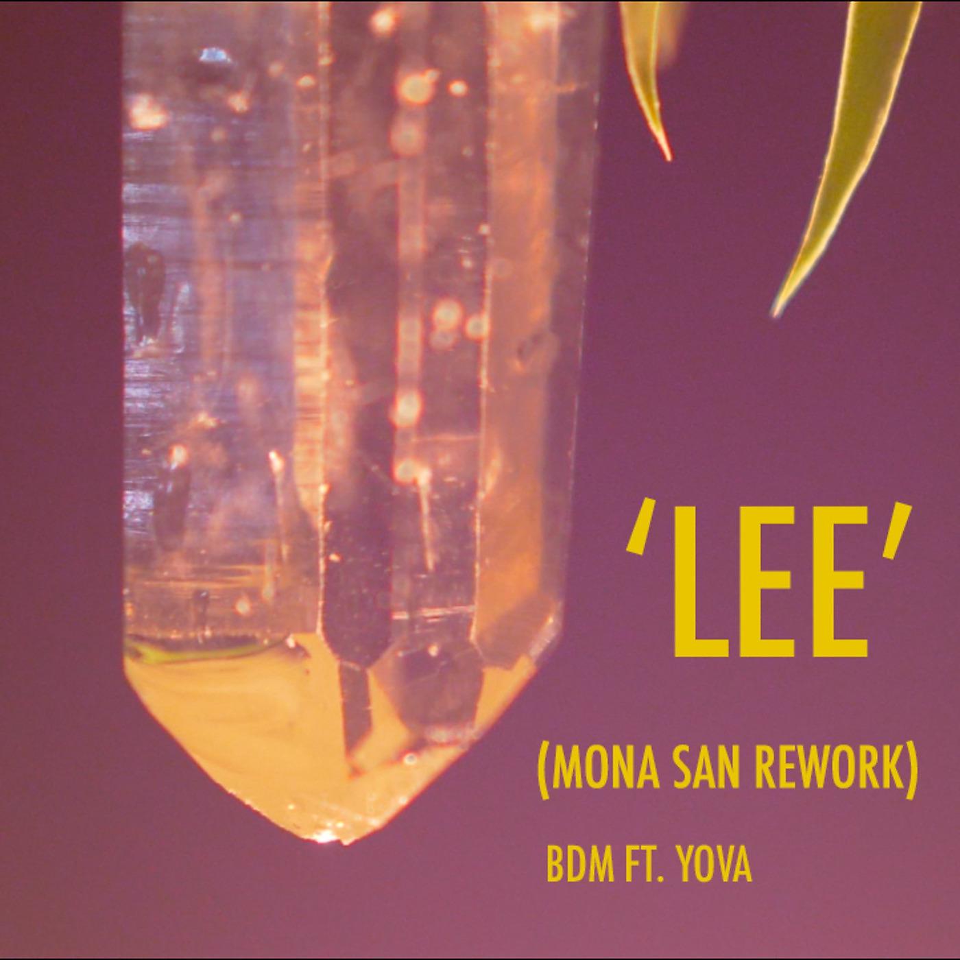 Постер альбома Lee (Mona San Rework)