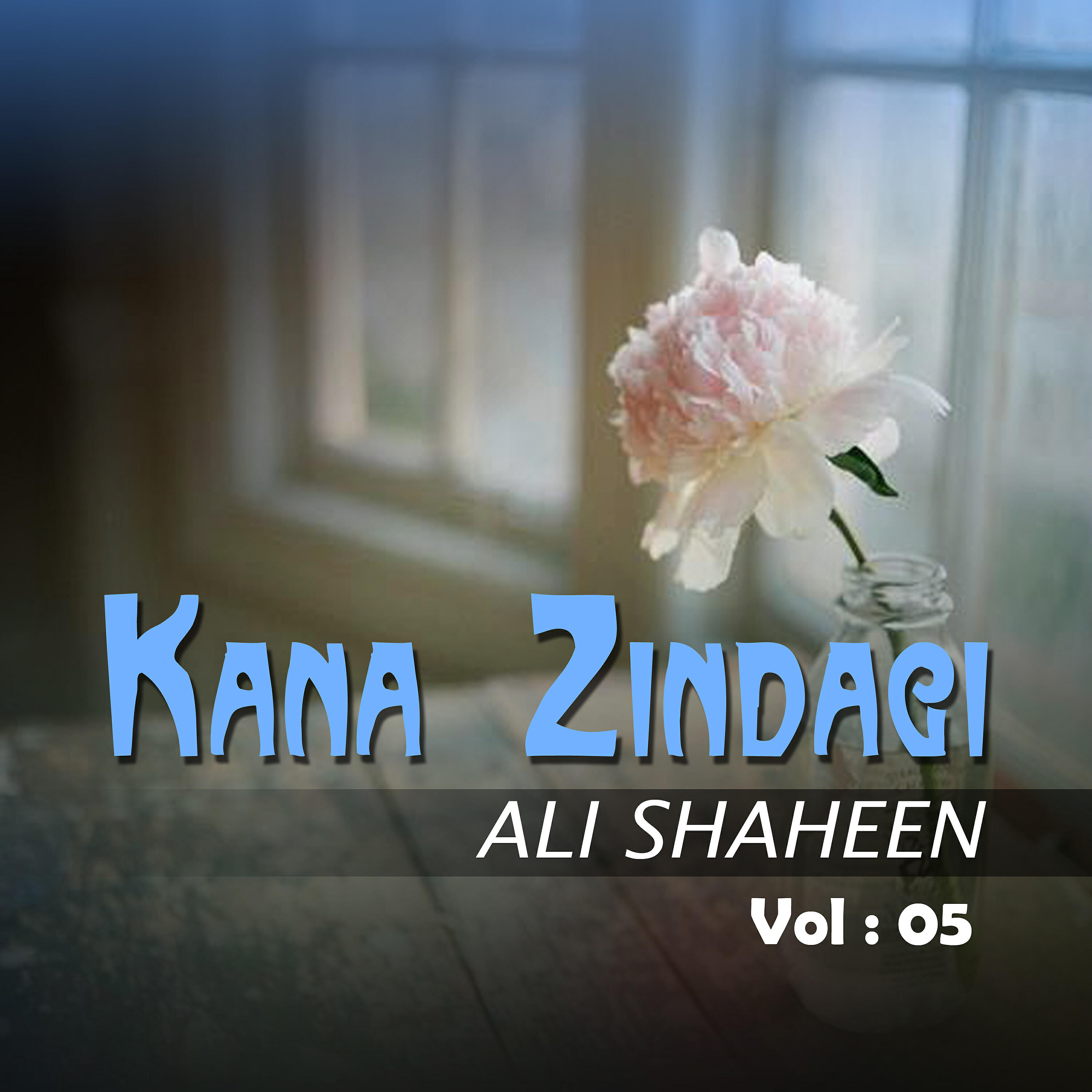 Ali Shaheen - Much Karenut
