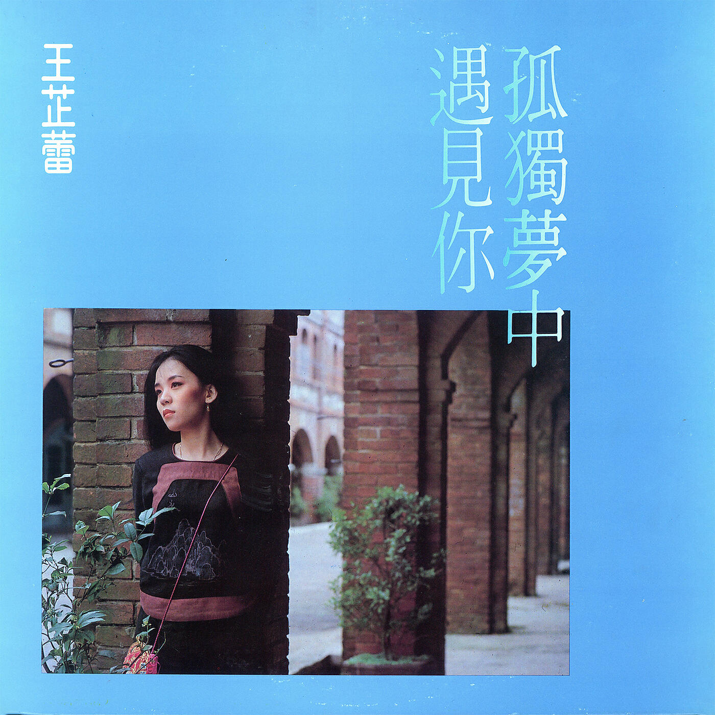 Wang Chih Lei - Xie Xie Ni