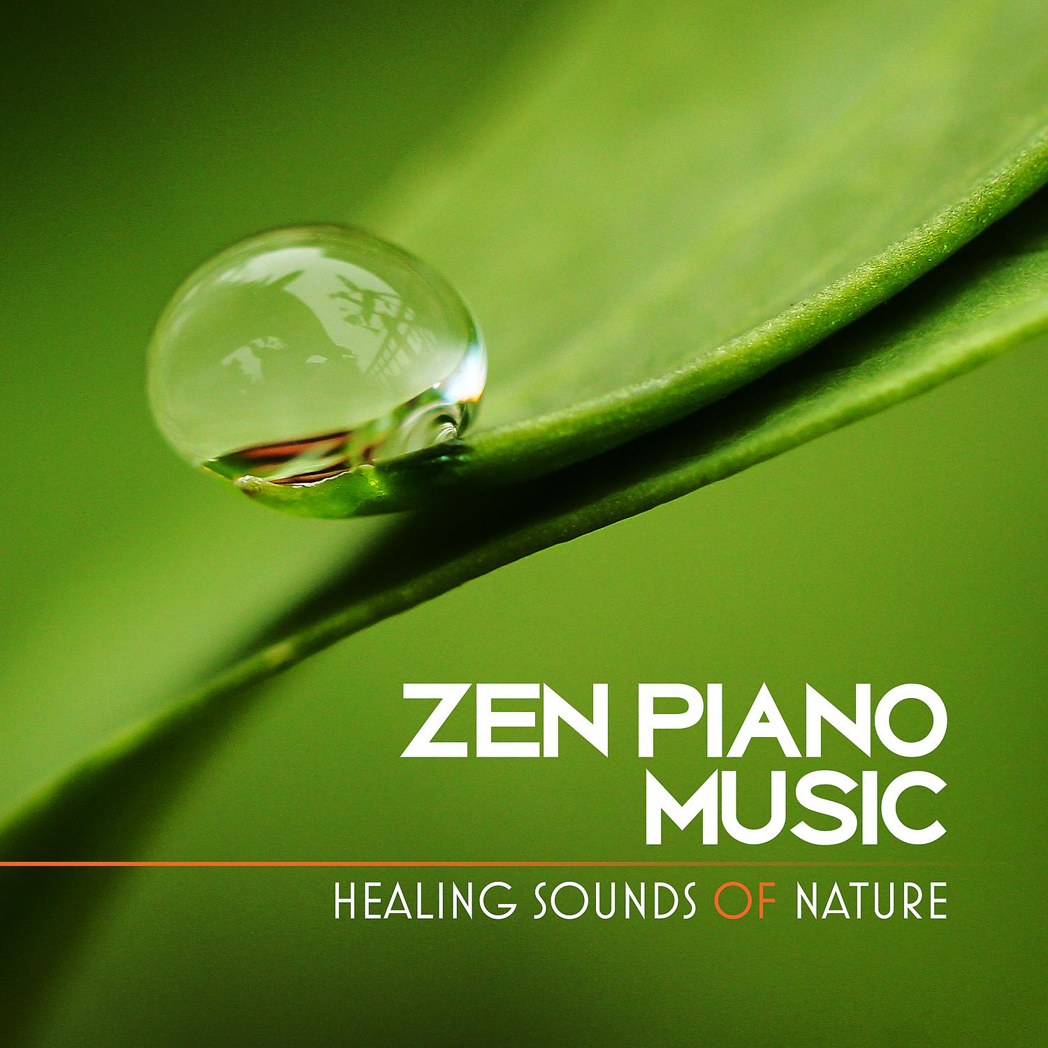 Постер альбома Zen Piano Music: Healing Sounds of Nature for Concentration, Study, Meditation, Relaxation, Reiki, Yoga, Soothe Your Soul