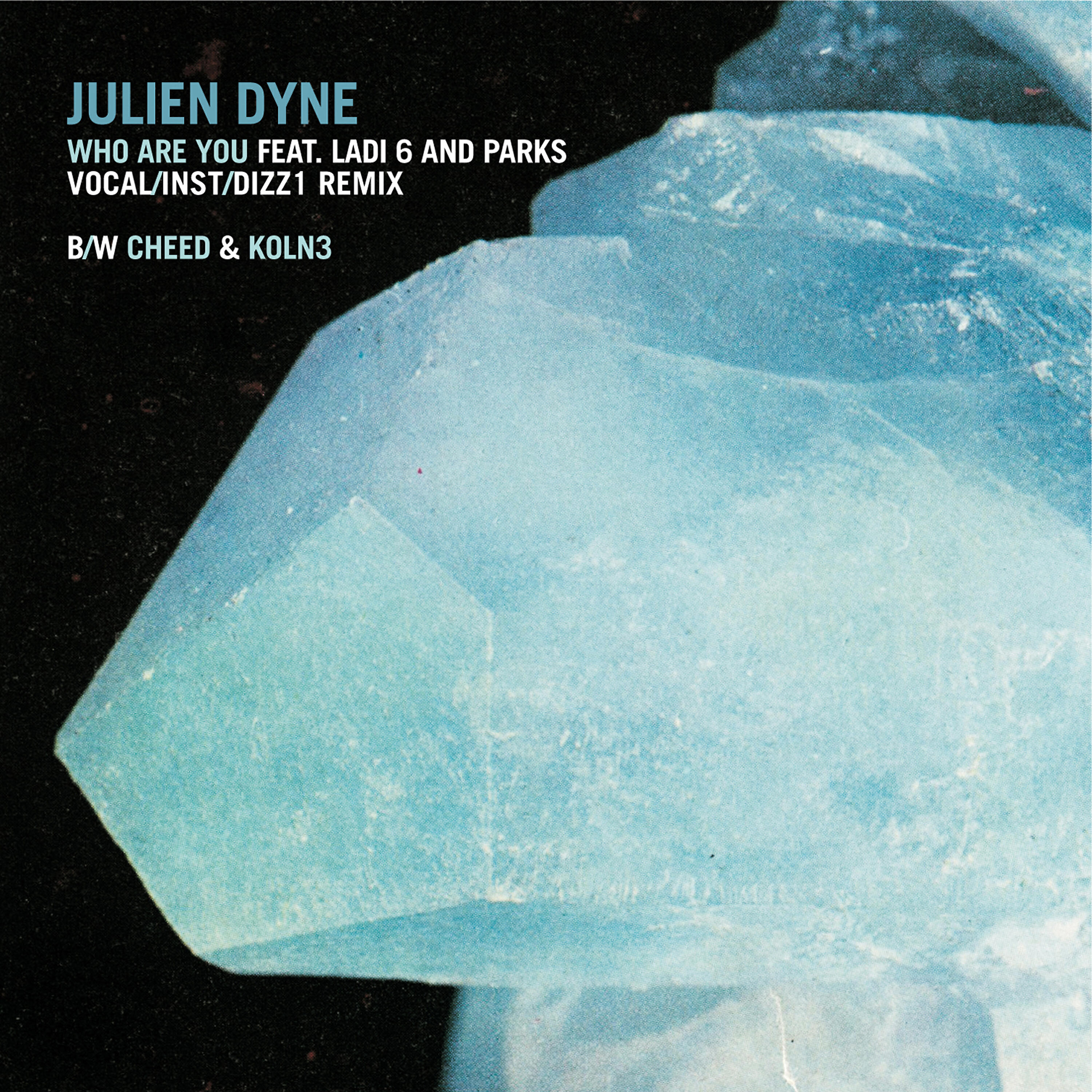 Julien Dyne - Who Are You (Dizz1 Remix)
