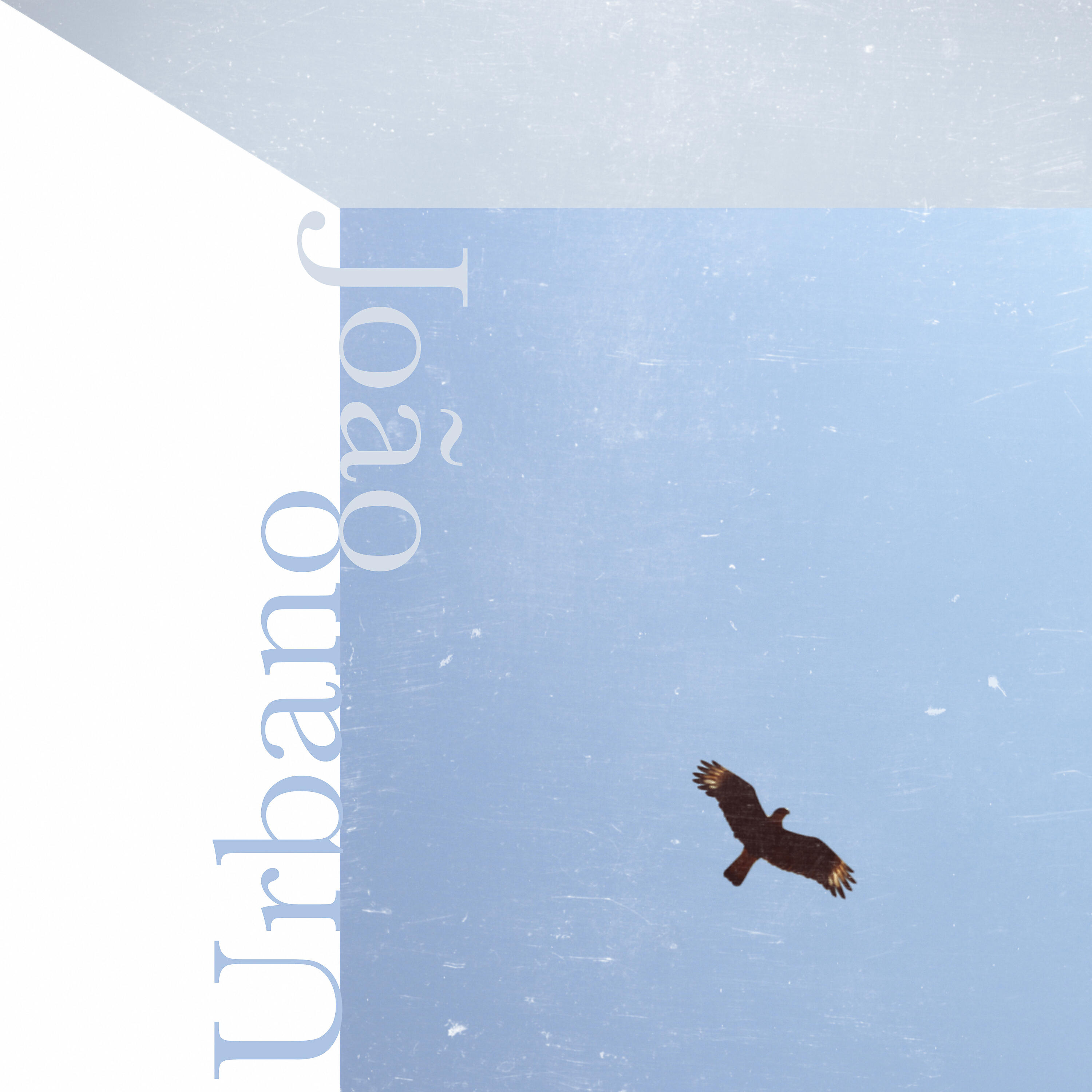 Flavio Medeiros - Urbano