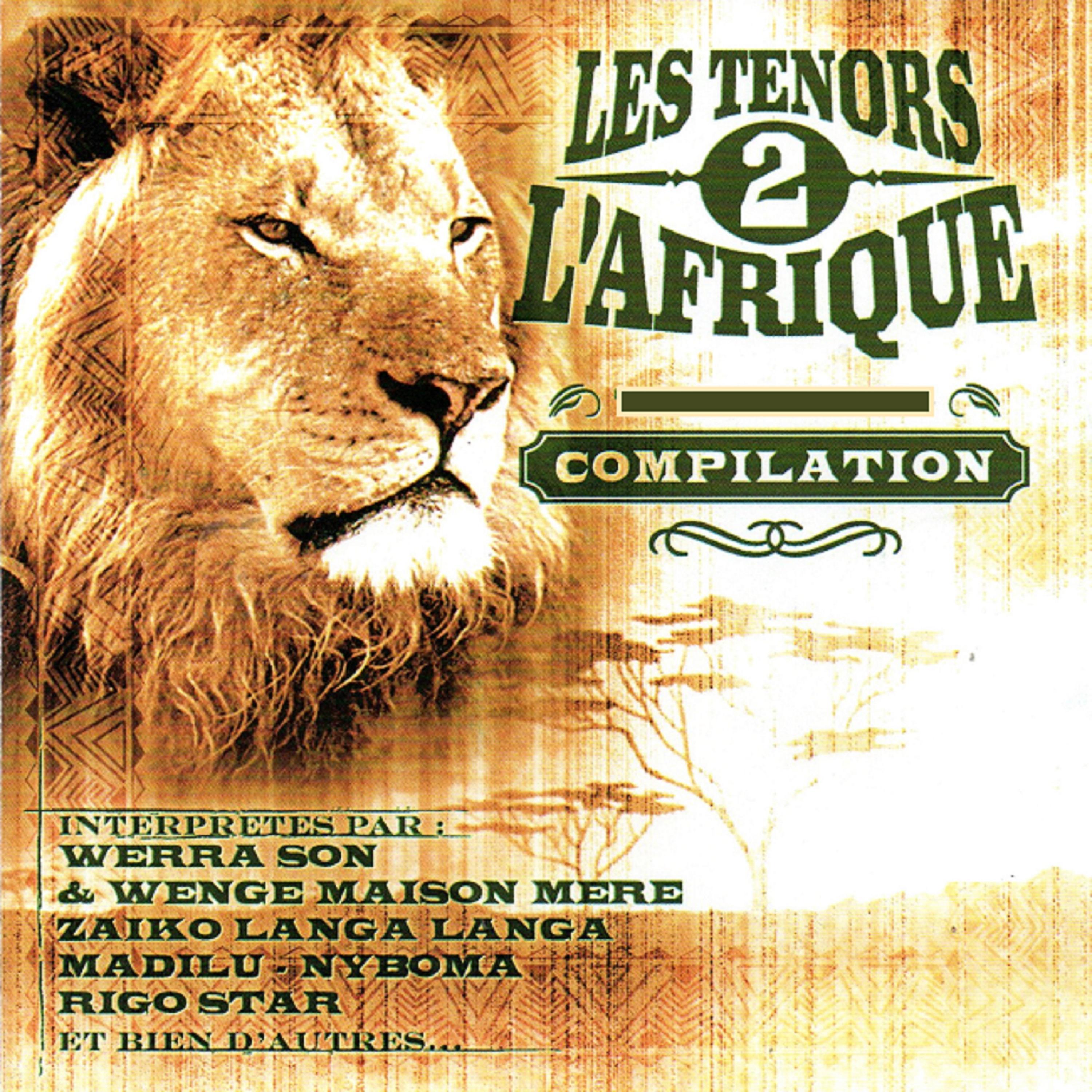 Постер альбома Les tenors 2 l'Afrique