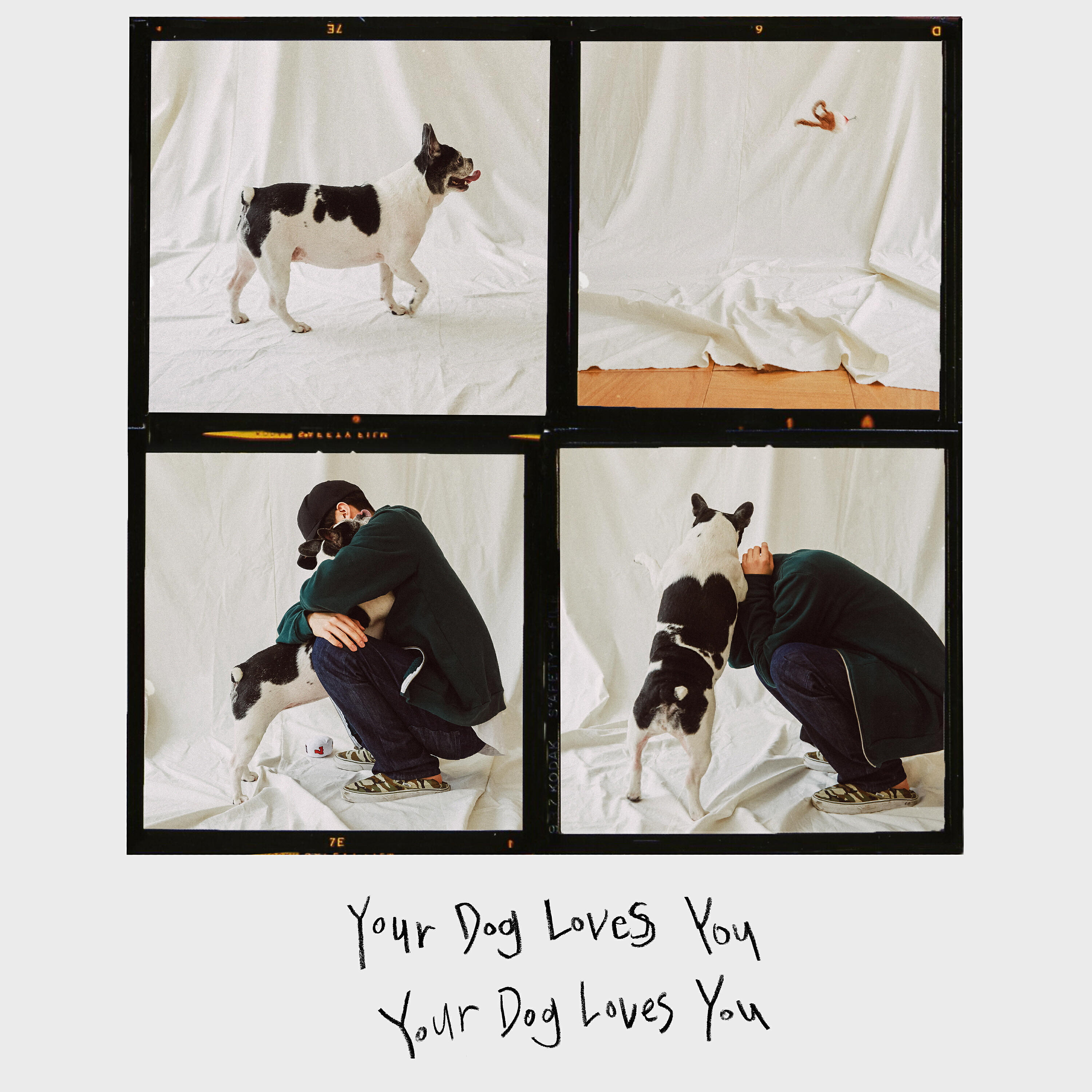 Colde - Your Dog Loves You
