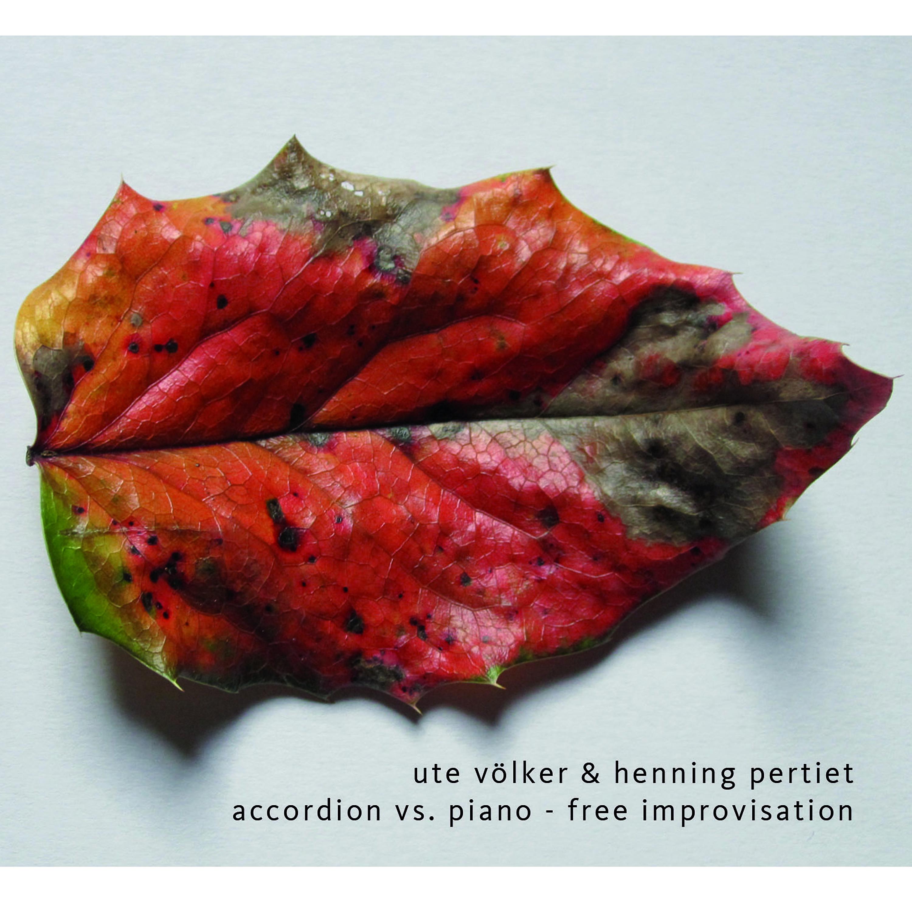 Постер альбома Accordion vs. Piano - Free Improvisation