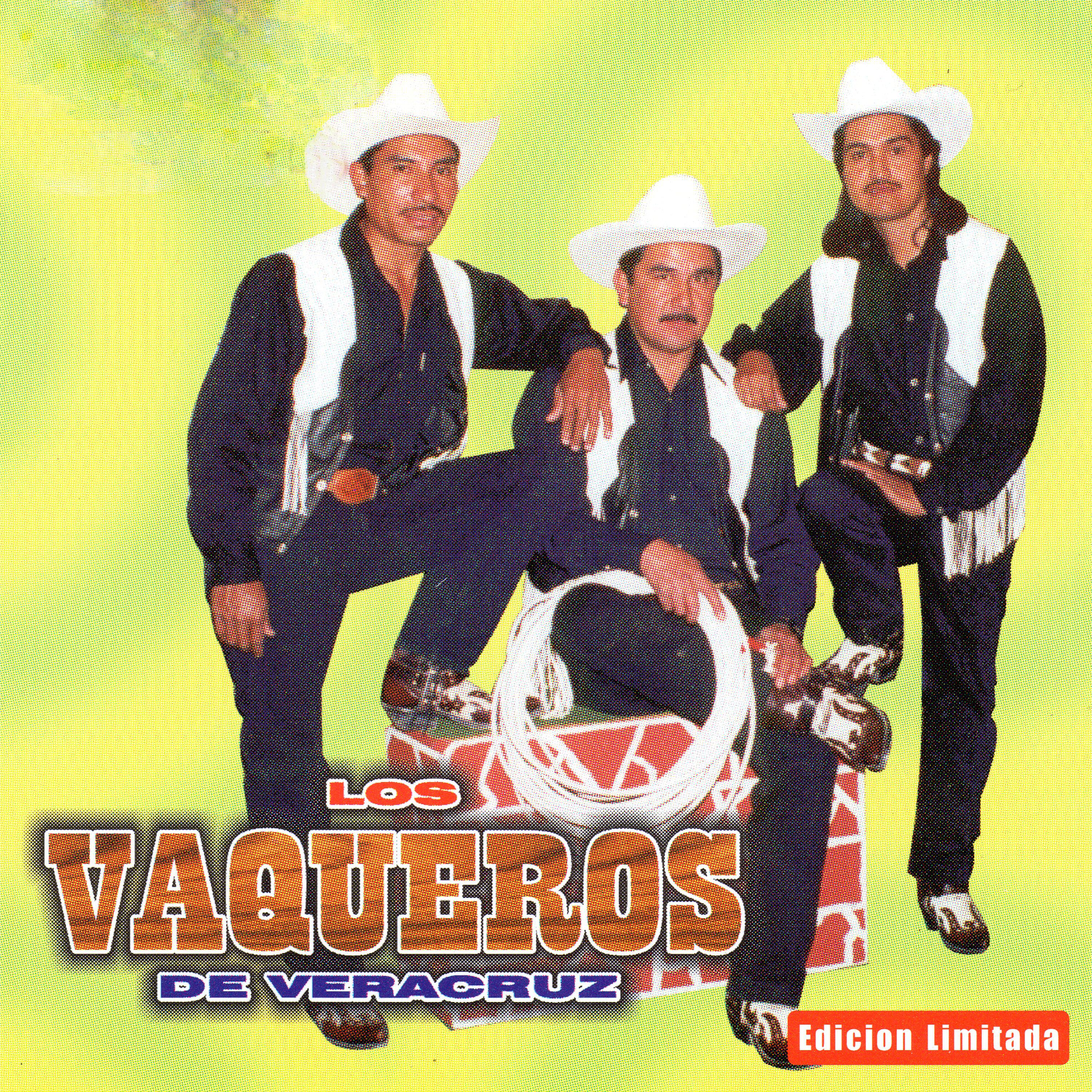 Постер альбома Los Vaqueros de Veracruz